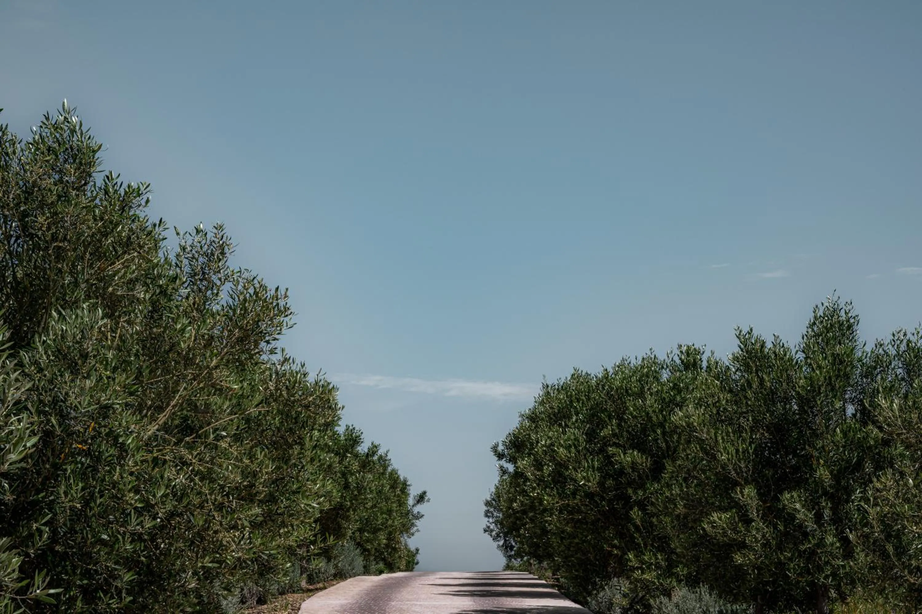 Natural landscape in La Fiermontina Ocean