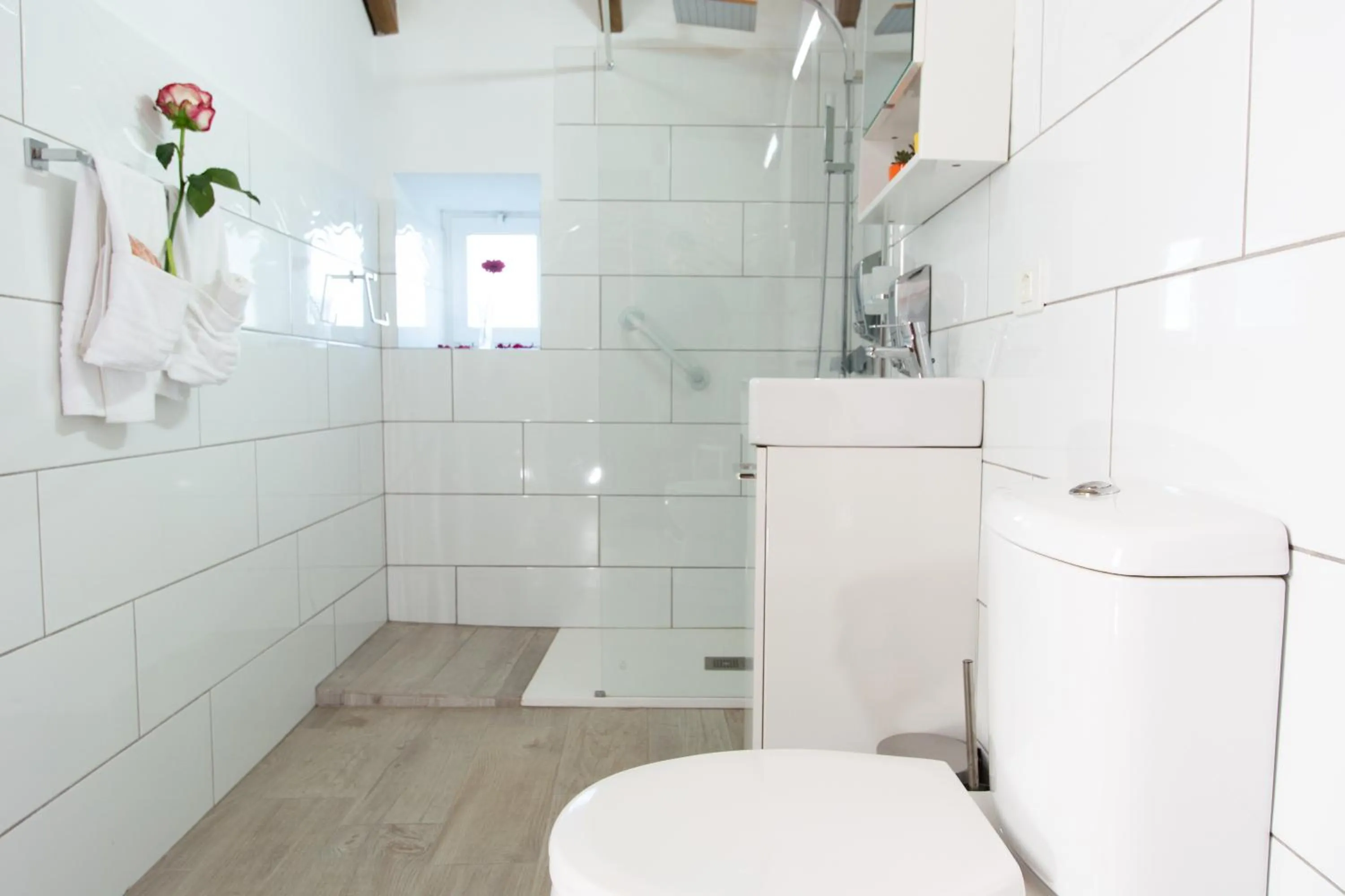 Shower in Geko Hotels