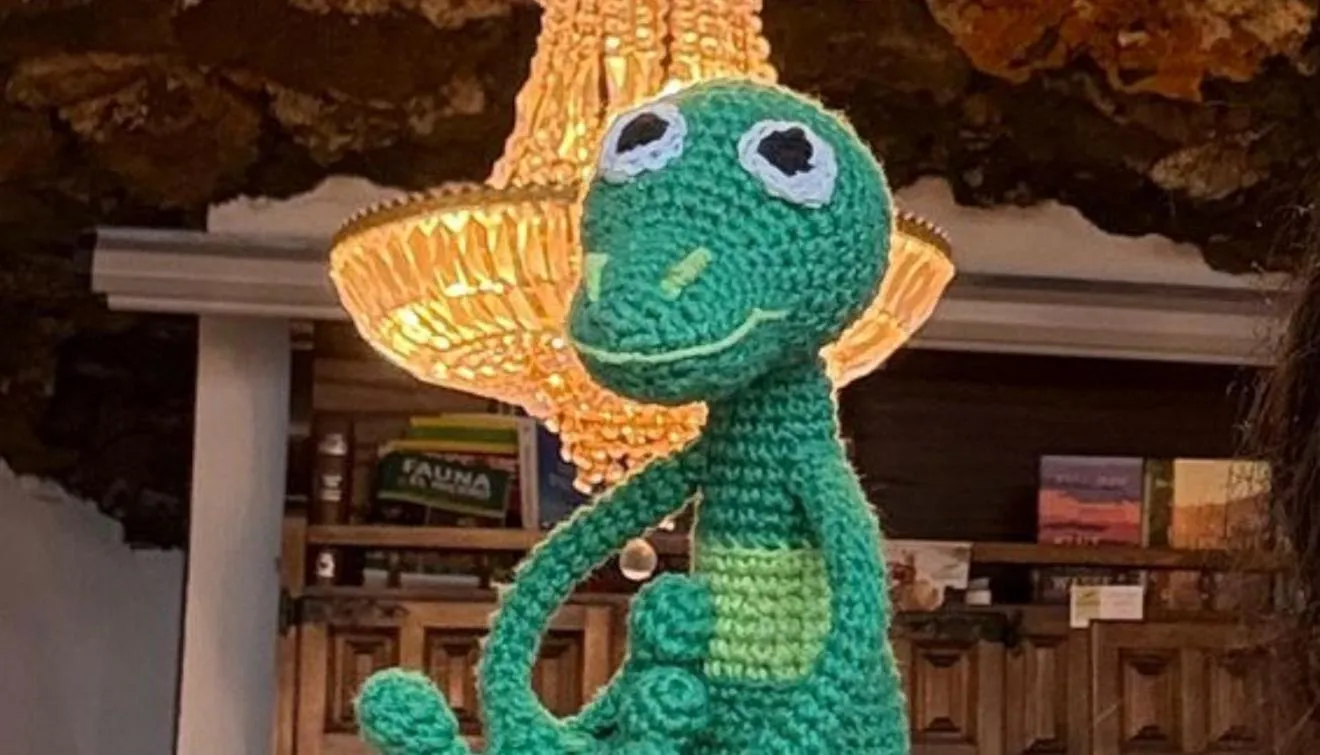 Property building in Geko Hotels