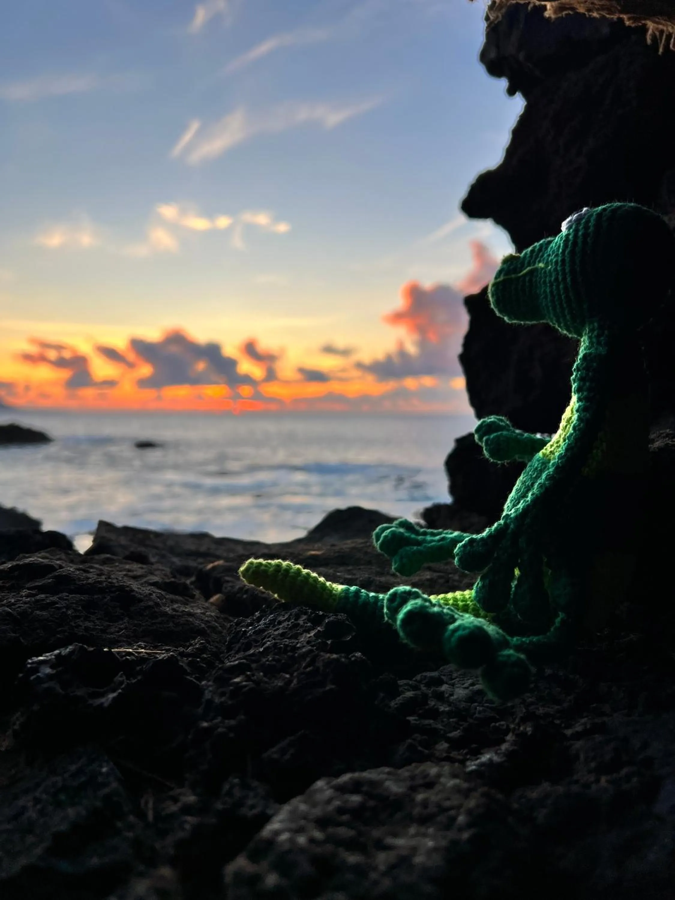 Activities in Geko Hotels