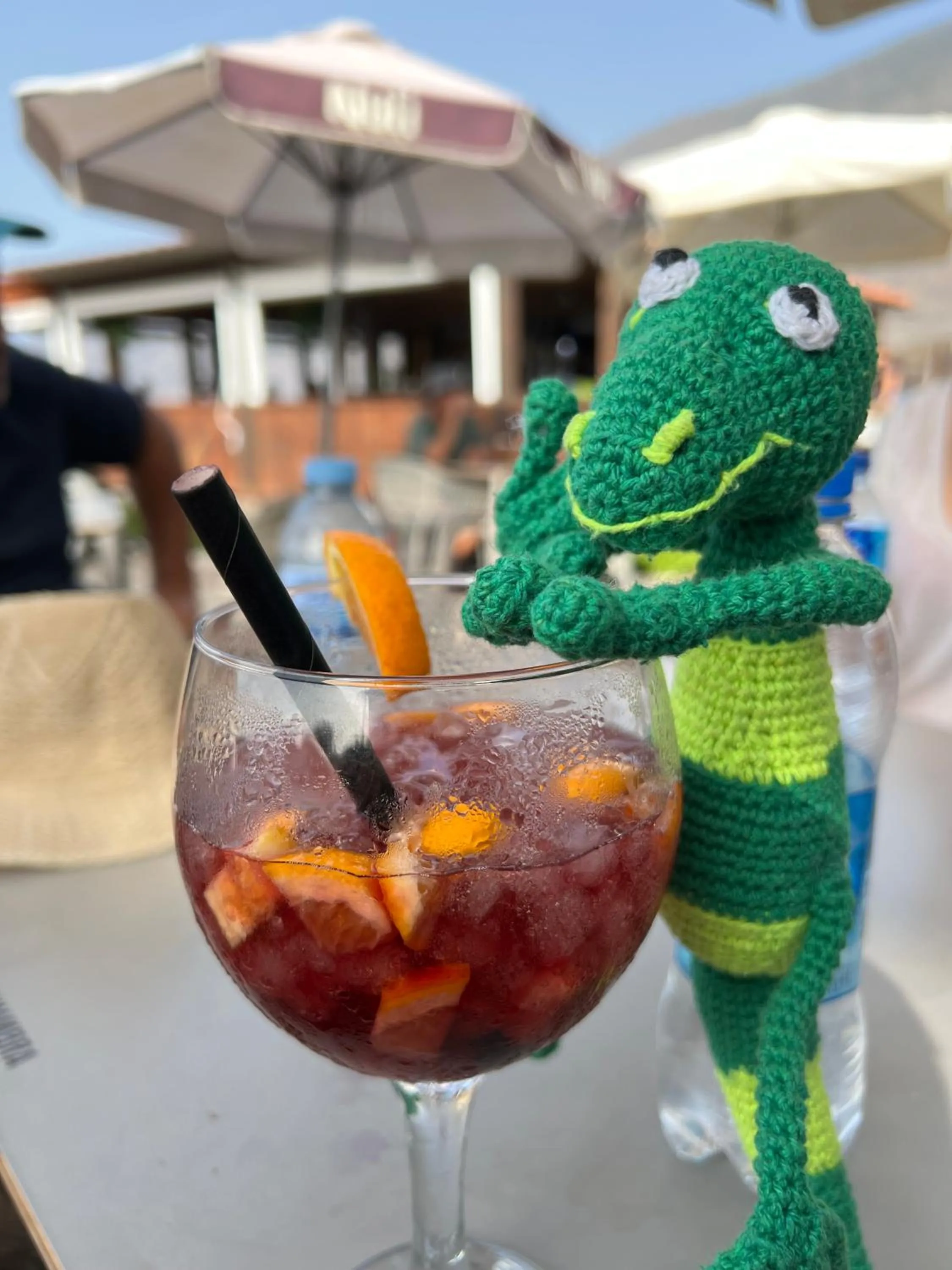 Activities in Geko Hotels