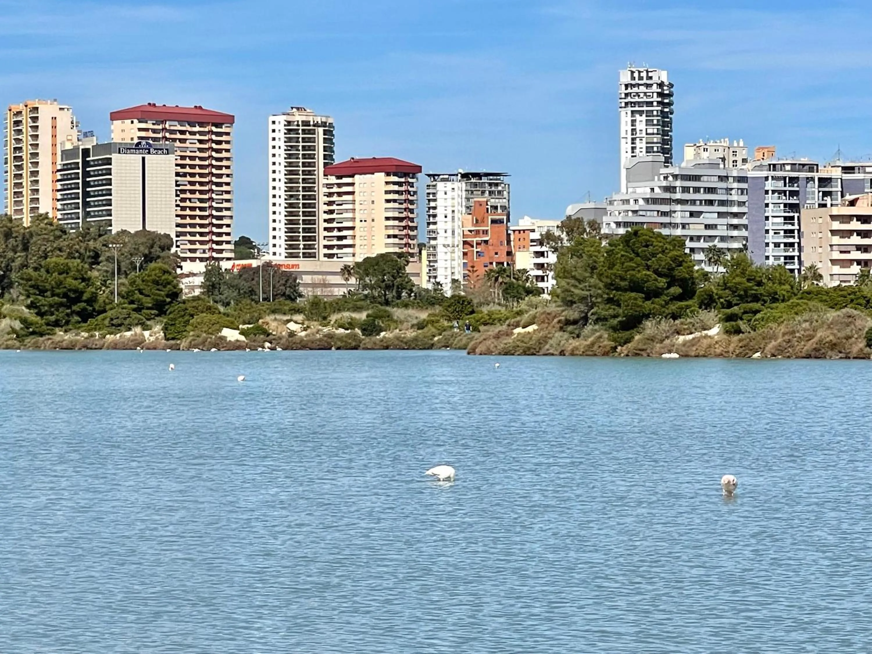 2 Bedrooms Apartment in Calpe LARIMAR