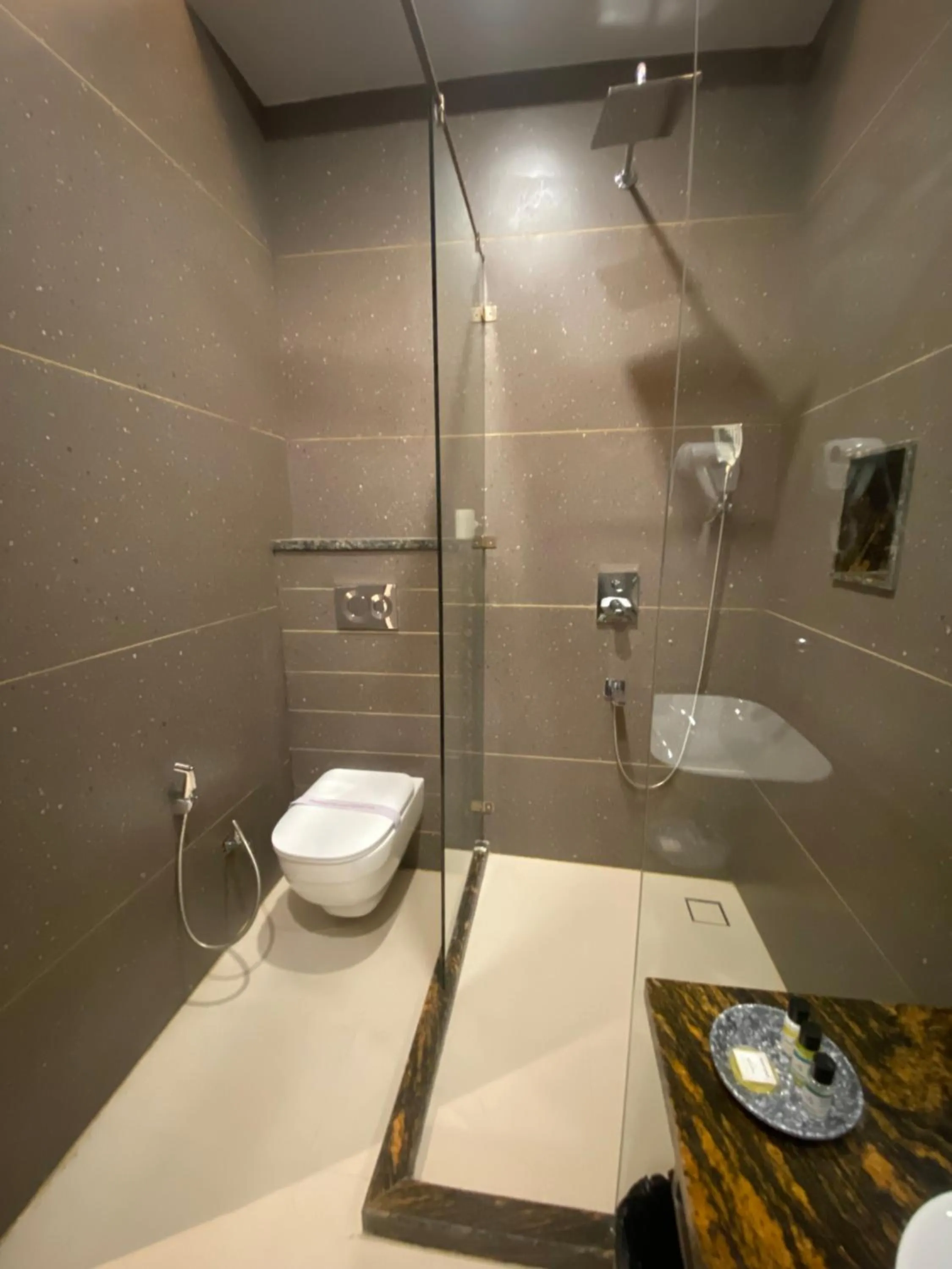 Toilet in Hotel Azul Ganga