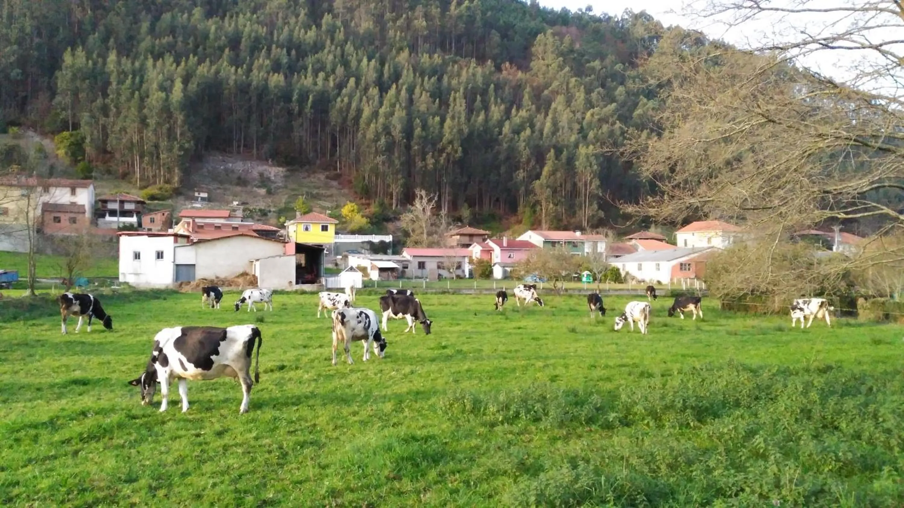 Hiking in Hotel Casa Vieja del Sastre