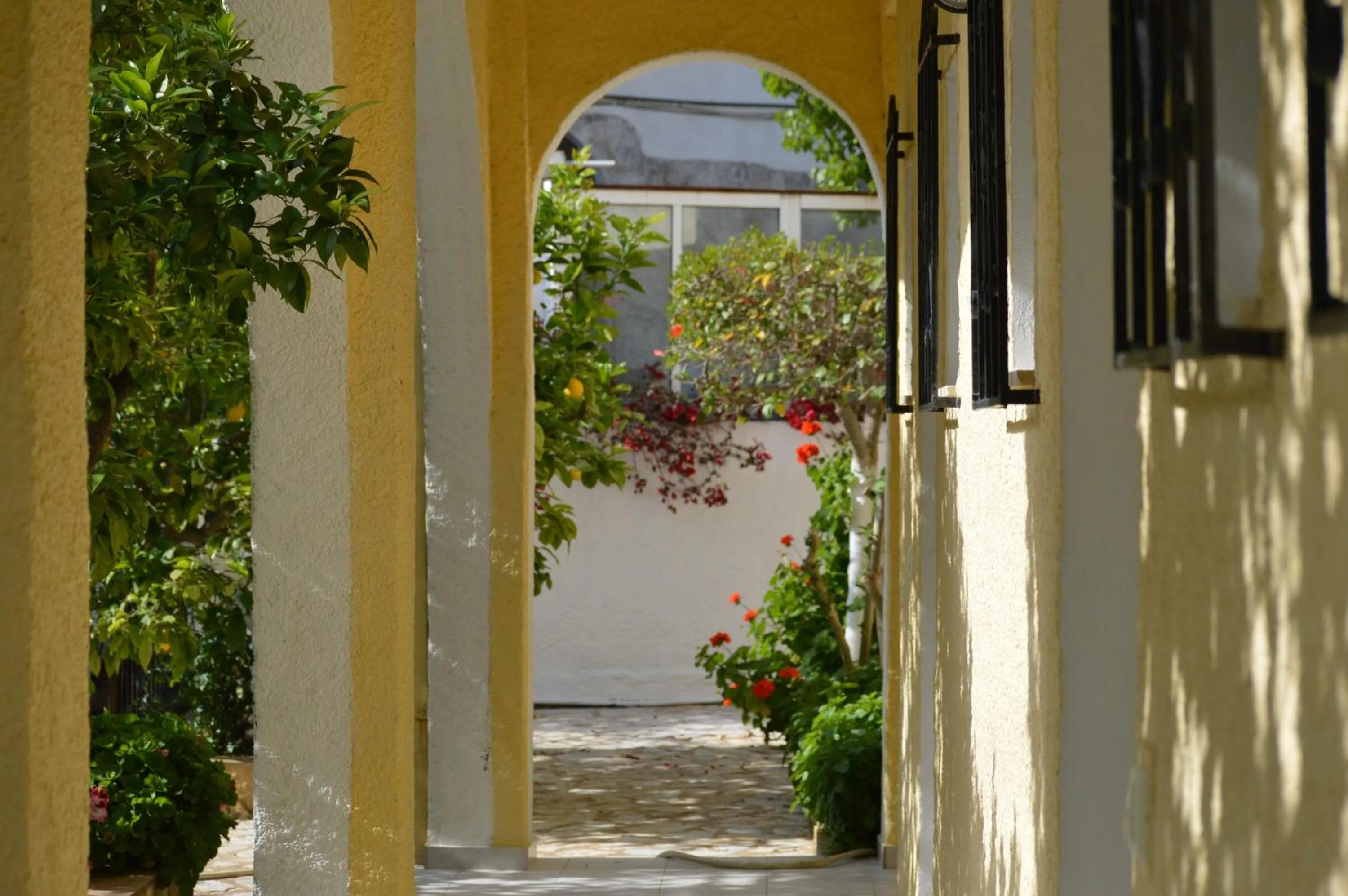 Garden in Konstantina Apartments