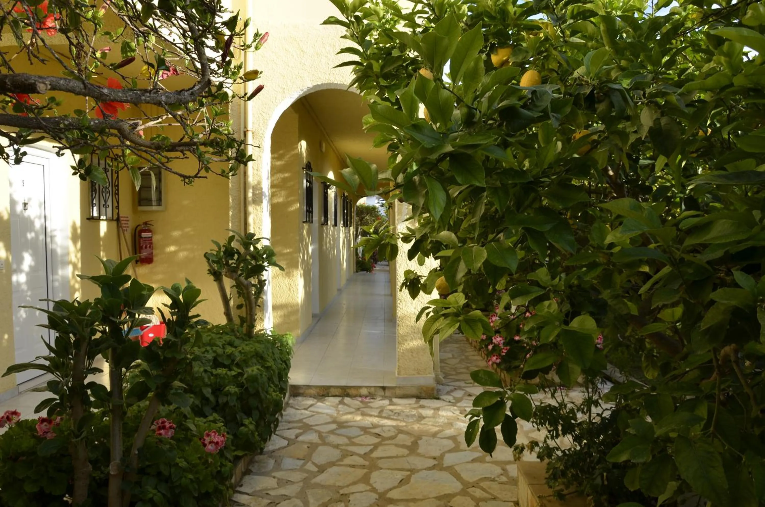 Garden in Konstantina Apartments