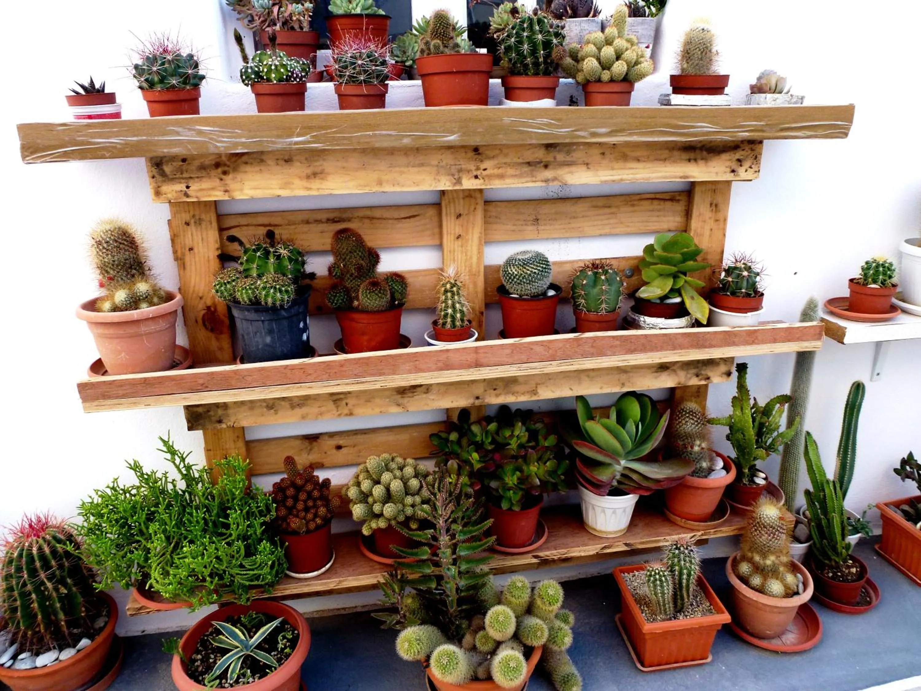 Garden view in Atalos Suites