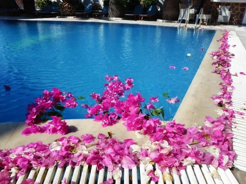 Swimming pool in Atalos Suites