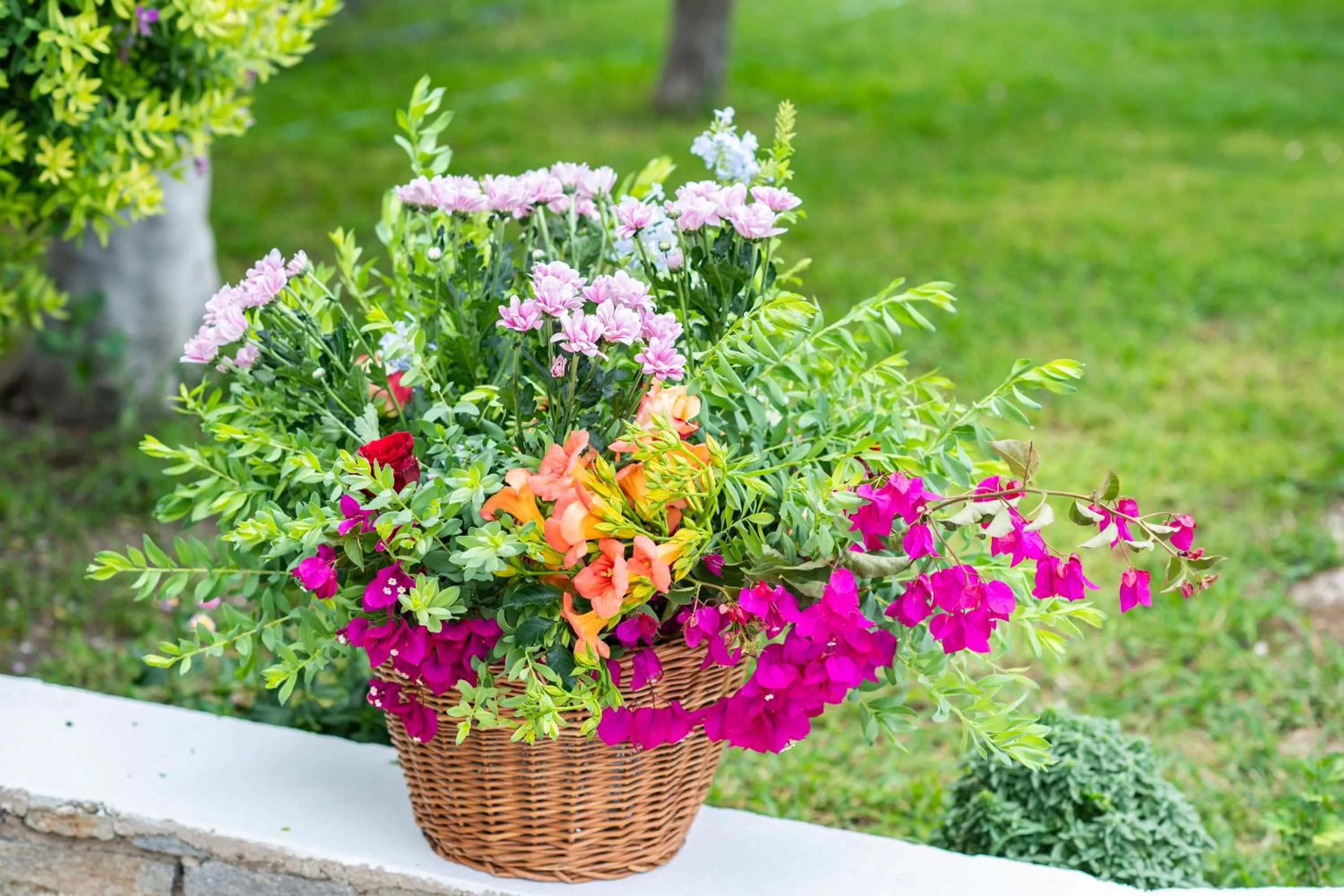 Garden in Pyrgaki Hotel