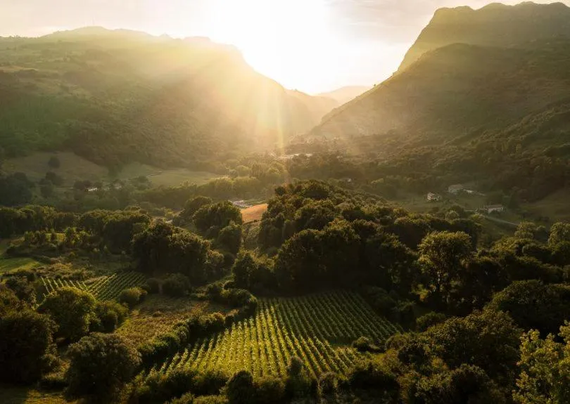 Nearby landmark in Hotel Palacio Muñatones