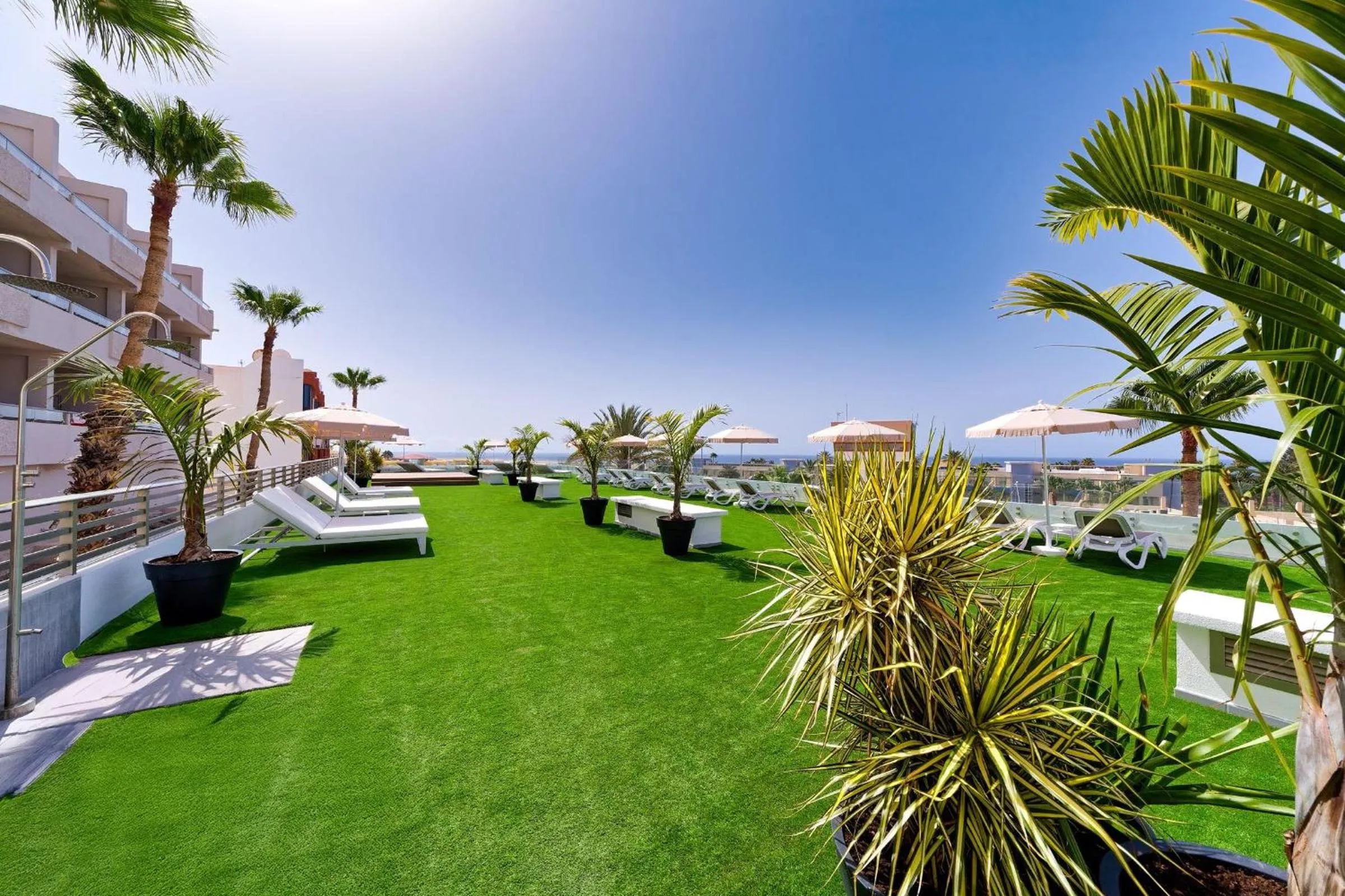 Garden in Servatur Alameda de Jandía