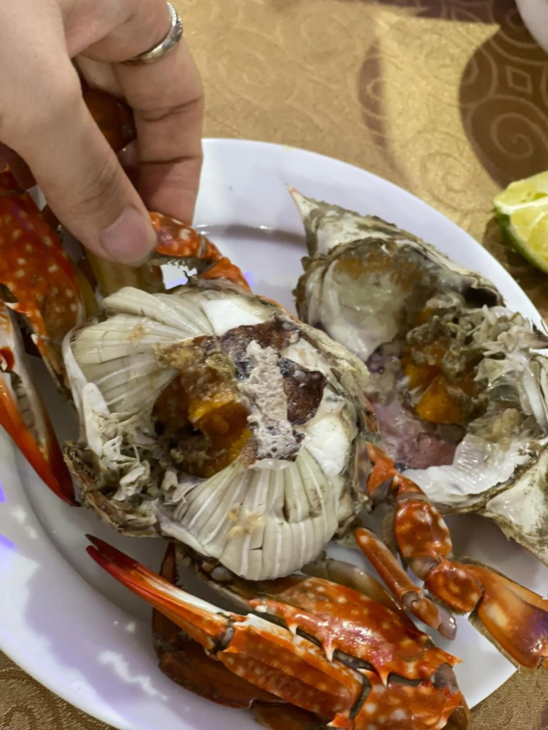 Restaurant/places to eat in Khách sạn An Phú Cửa Lò