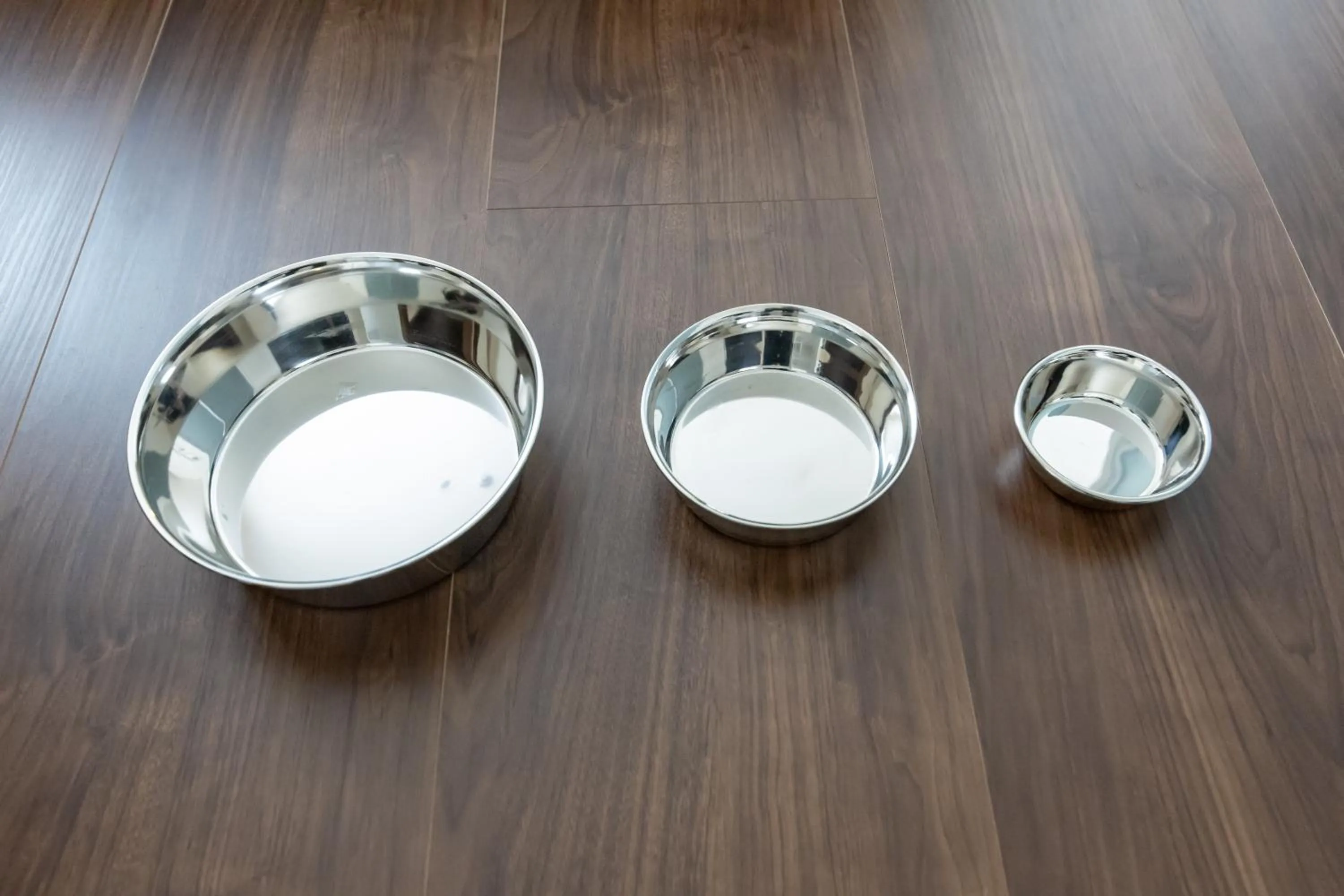 Area and facilities in Oyado Nishishichijo