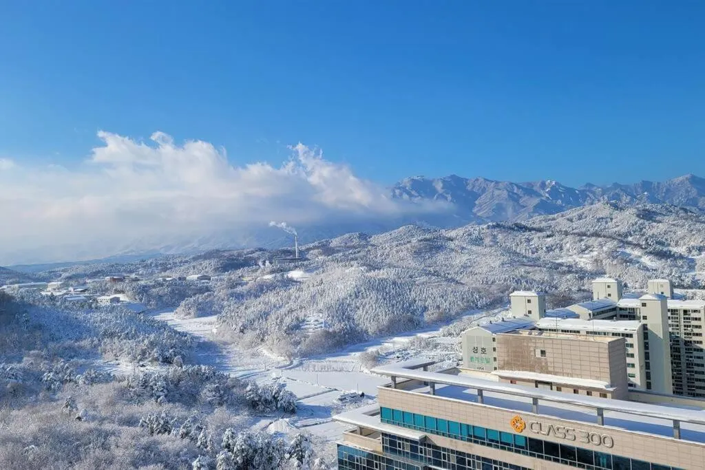 The Blue Terra Sokcho Beach