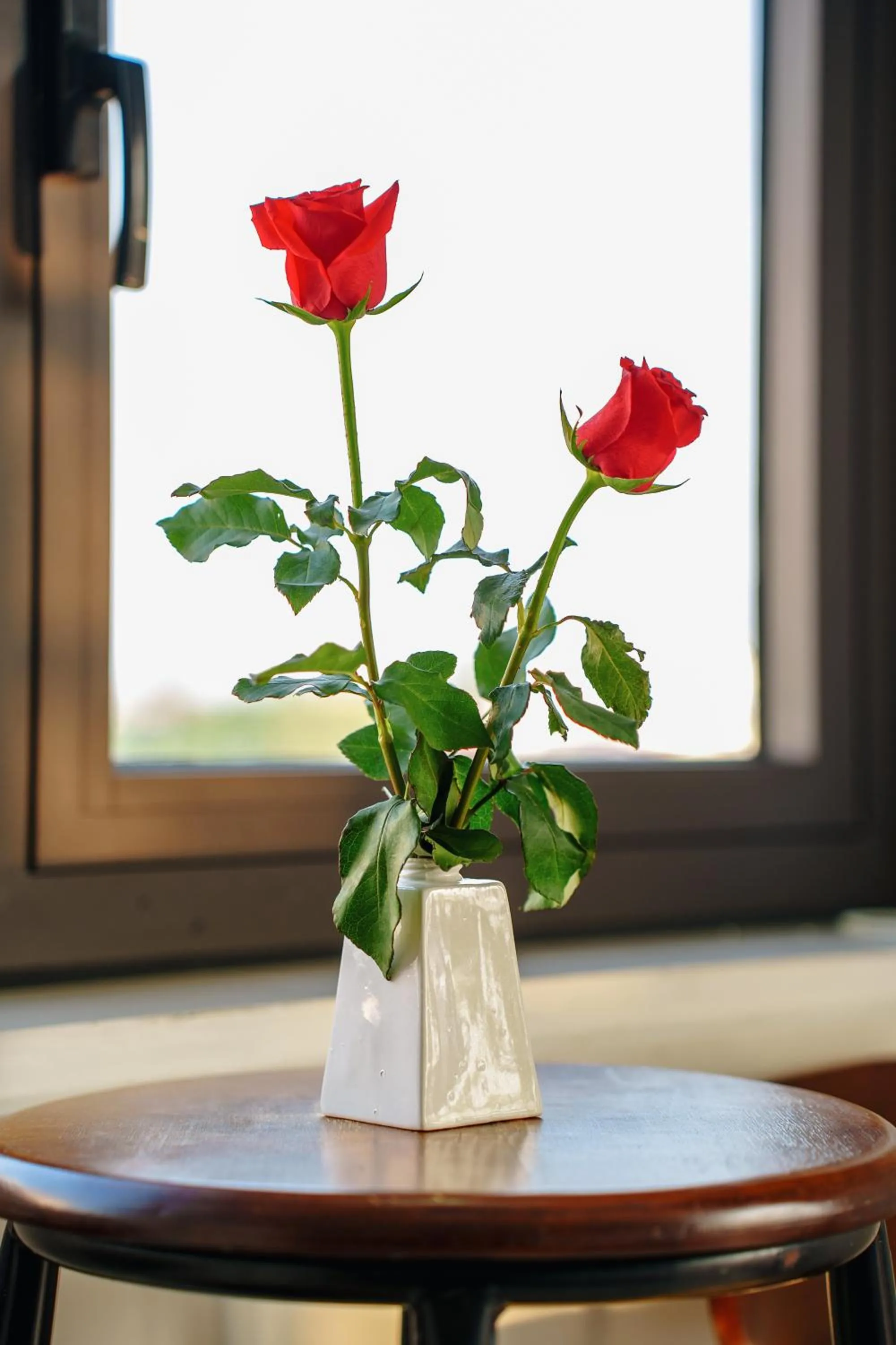 Seating area in HAI DAO HOI AN VILLA