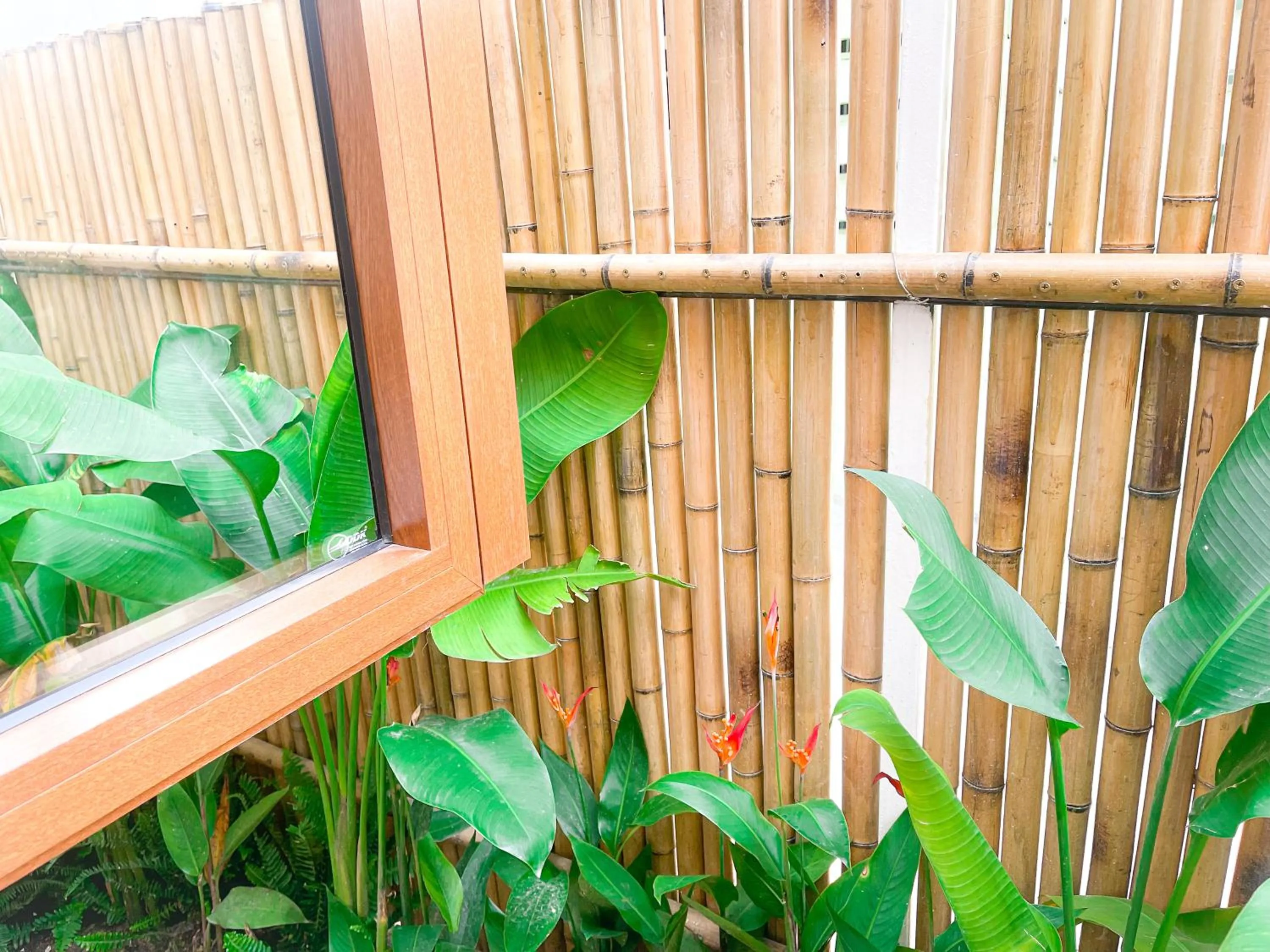 Garden in Baphu Beachwalk Apartment - 5 min walk to My Khe beach