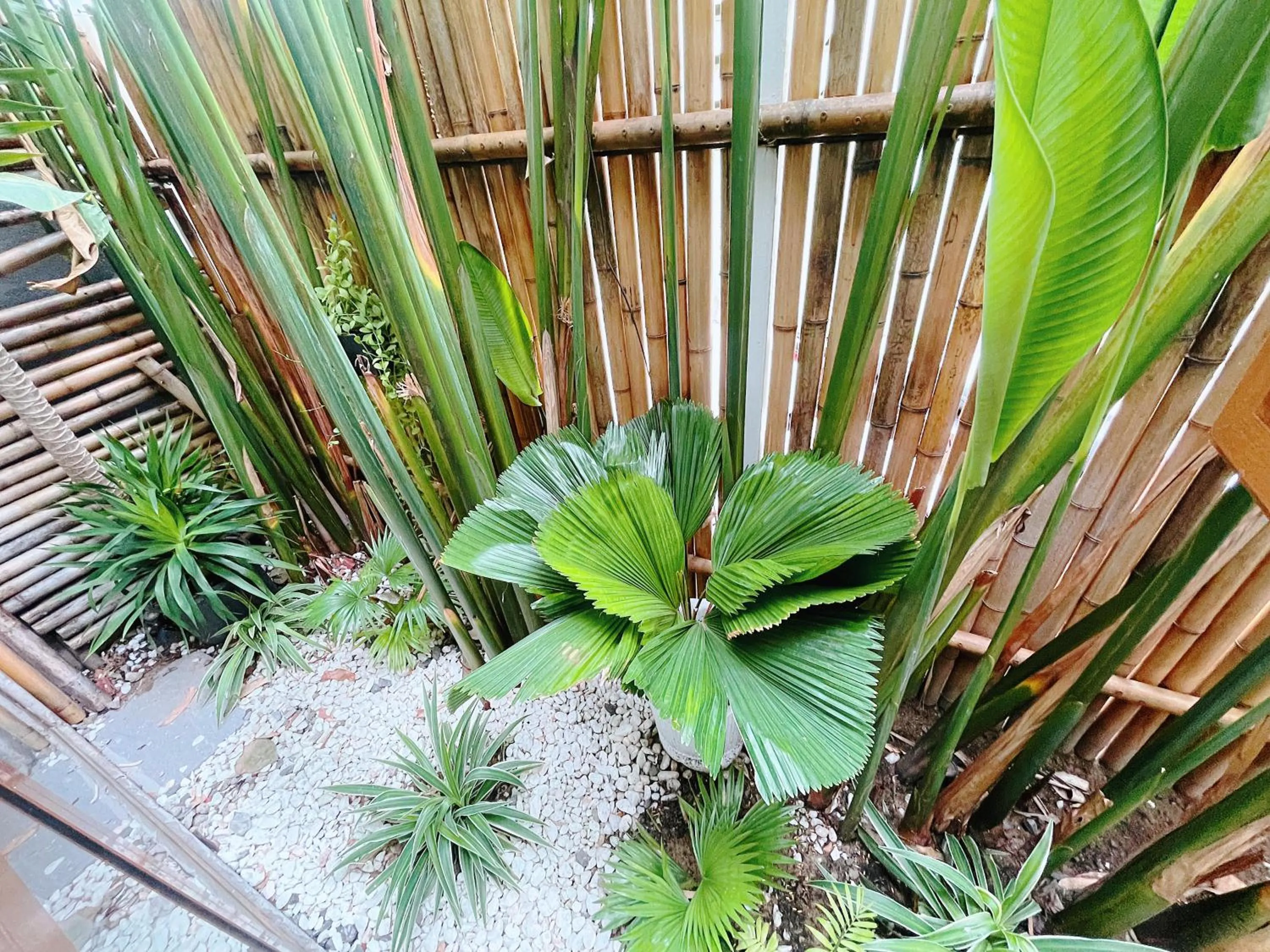 Garden view in Baphu Beachwalk Apartment - 5 min walk to My Khe beach