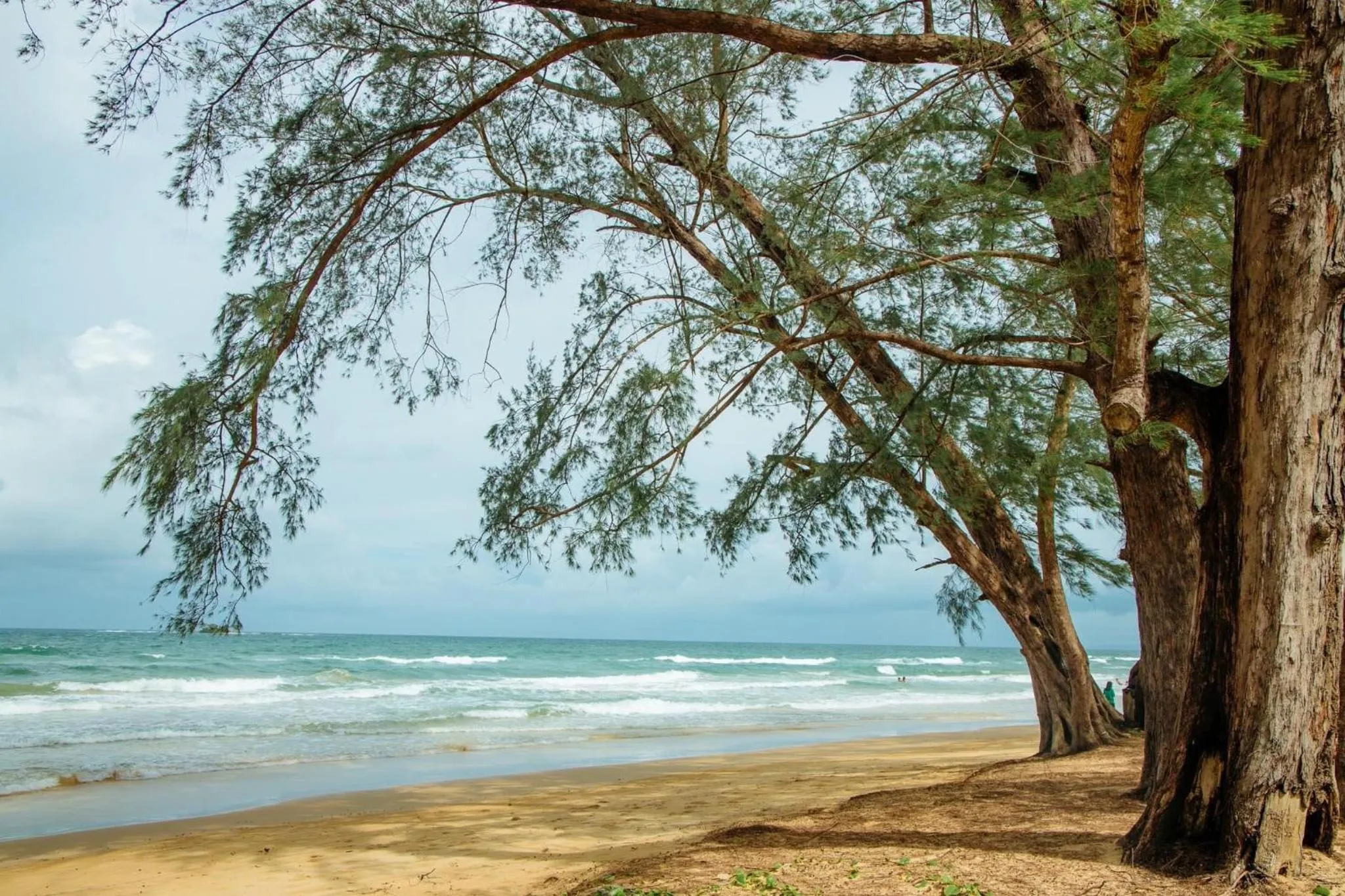 Beach in Biển Nhớ Homestay & Spa Phú Quốc