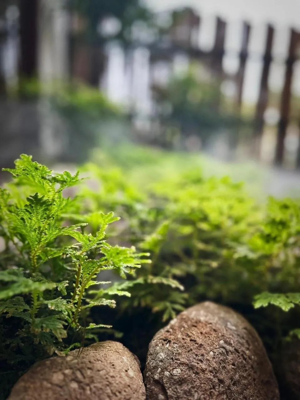 Natural landscape in Kinnotel