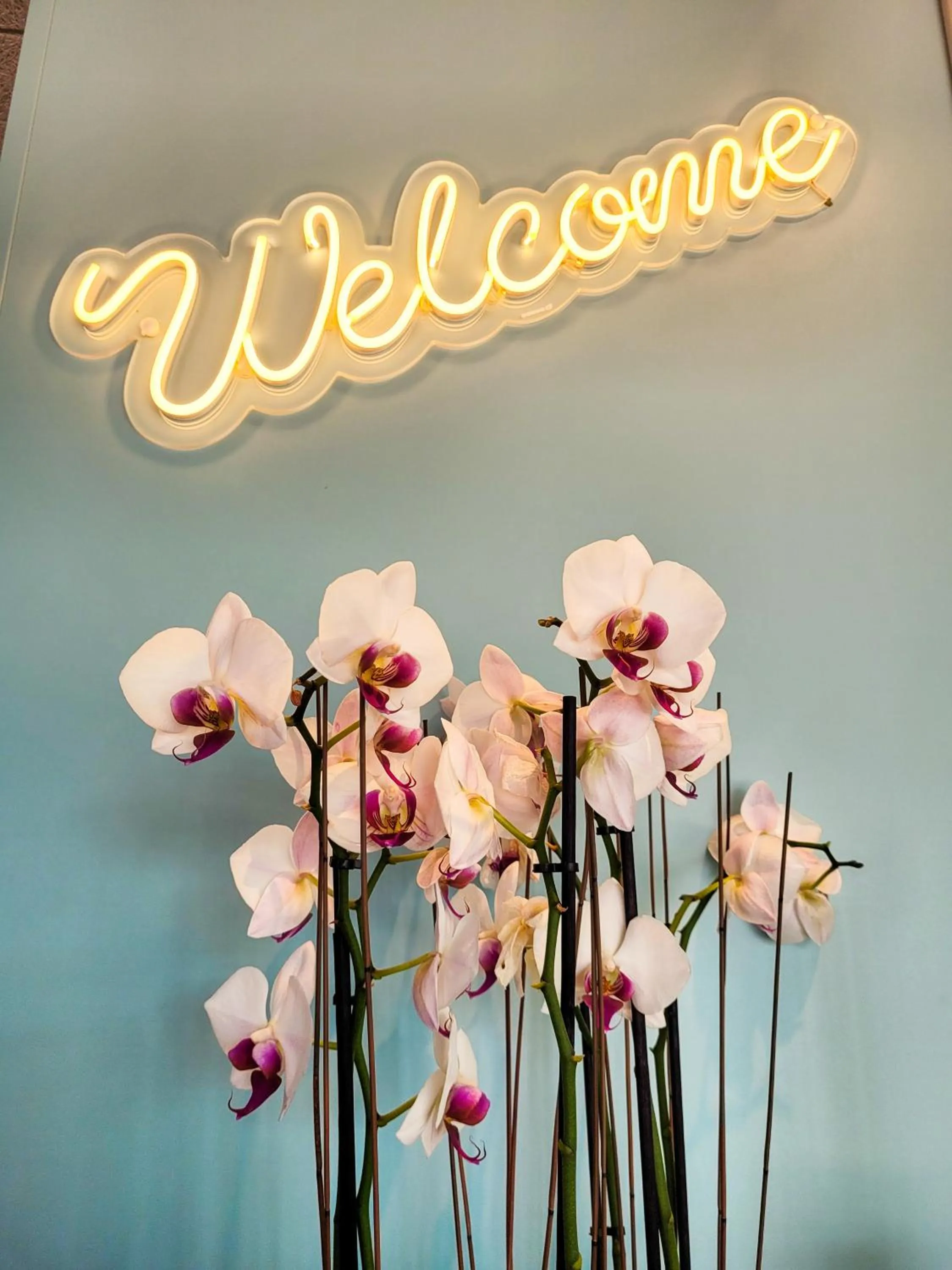 Lobby or reception in greet hotel Castets Coeur des Landes