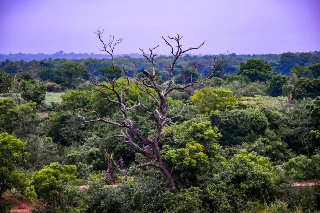 Natural landscape in Vintara Eco Resort