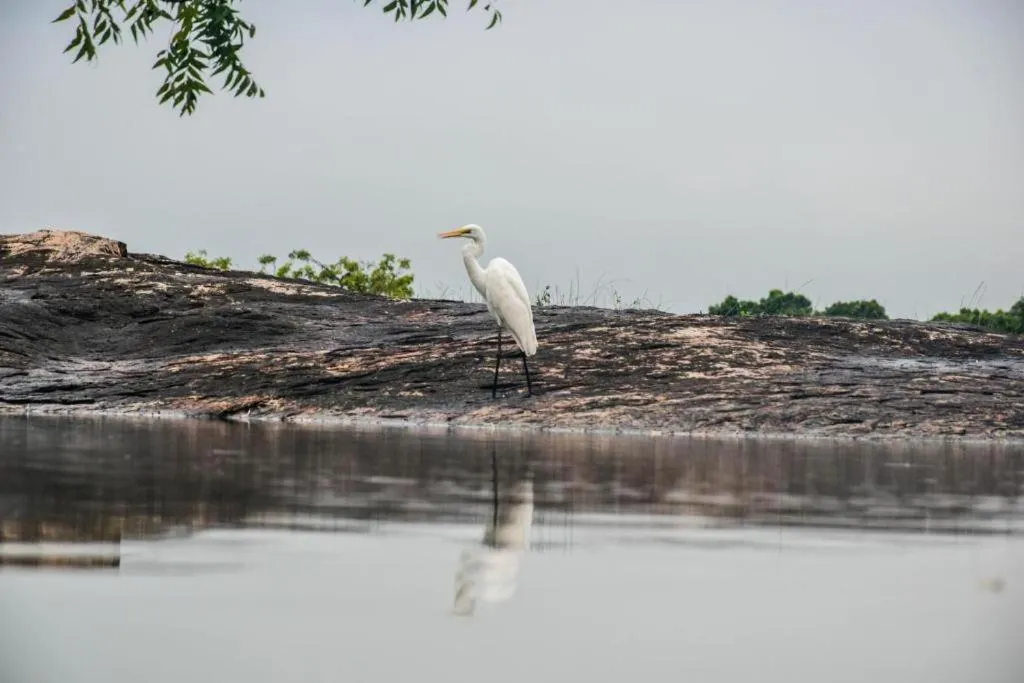 Natural landscape in Vintara Eco Resort