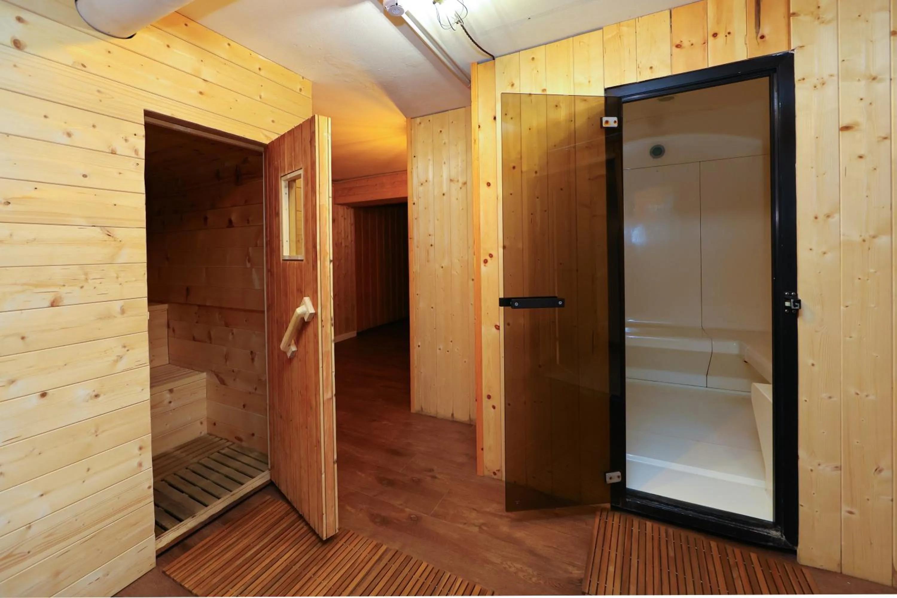 Sauna in Hotel Regina del Bosco
