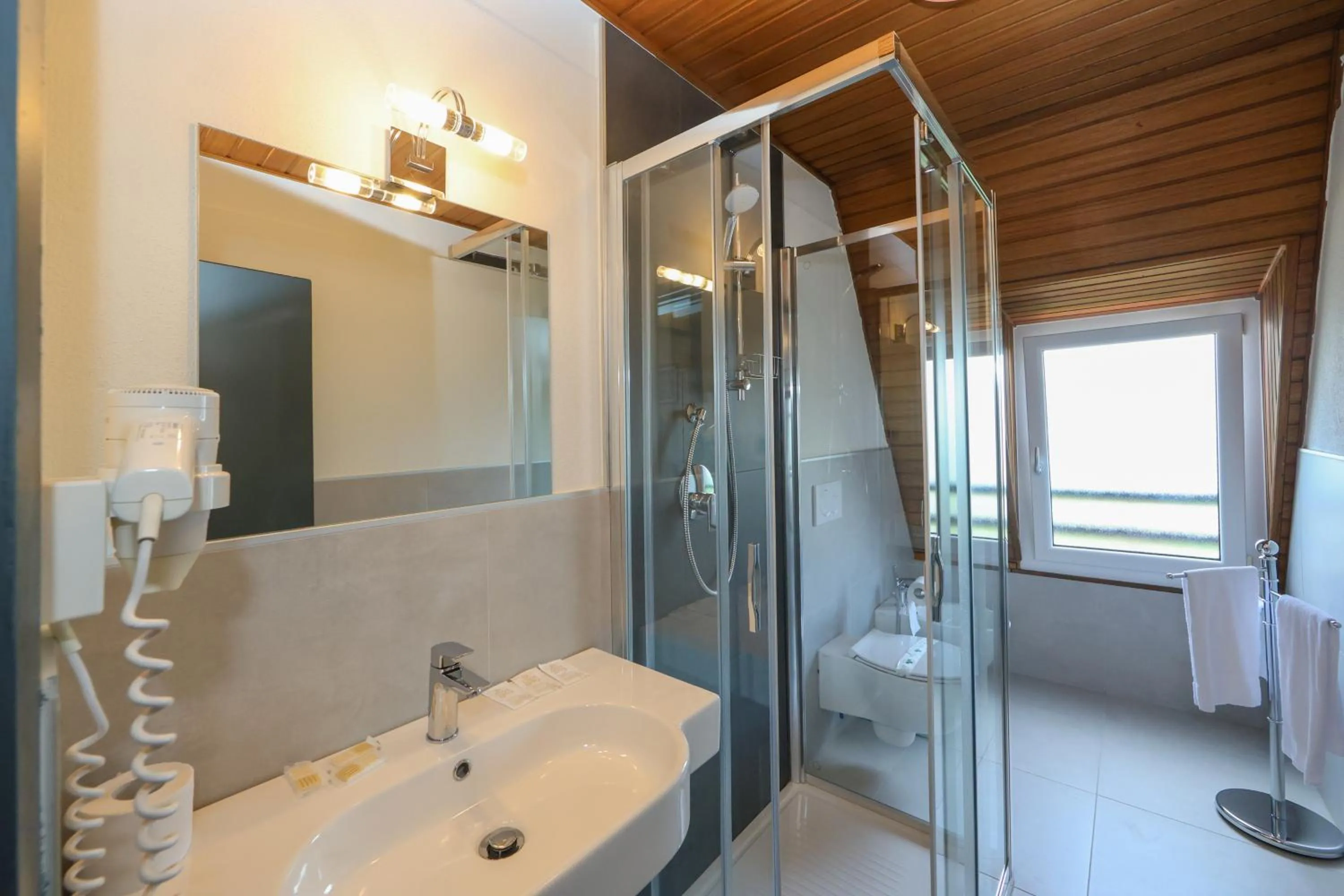 Shower in Hotel Regina del Bosco