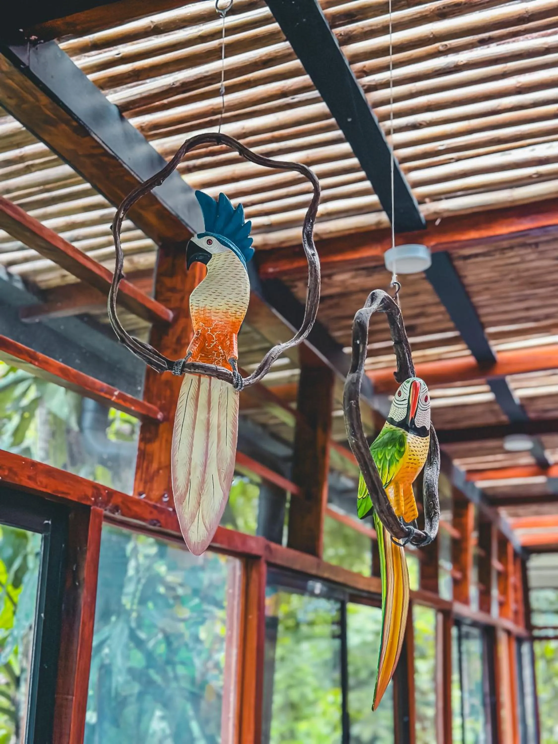 Property building in Selva Madre Eco-Sanctuary