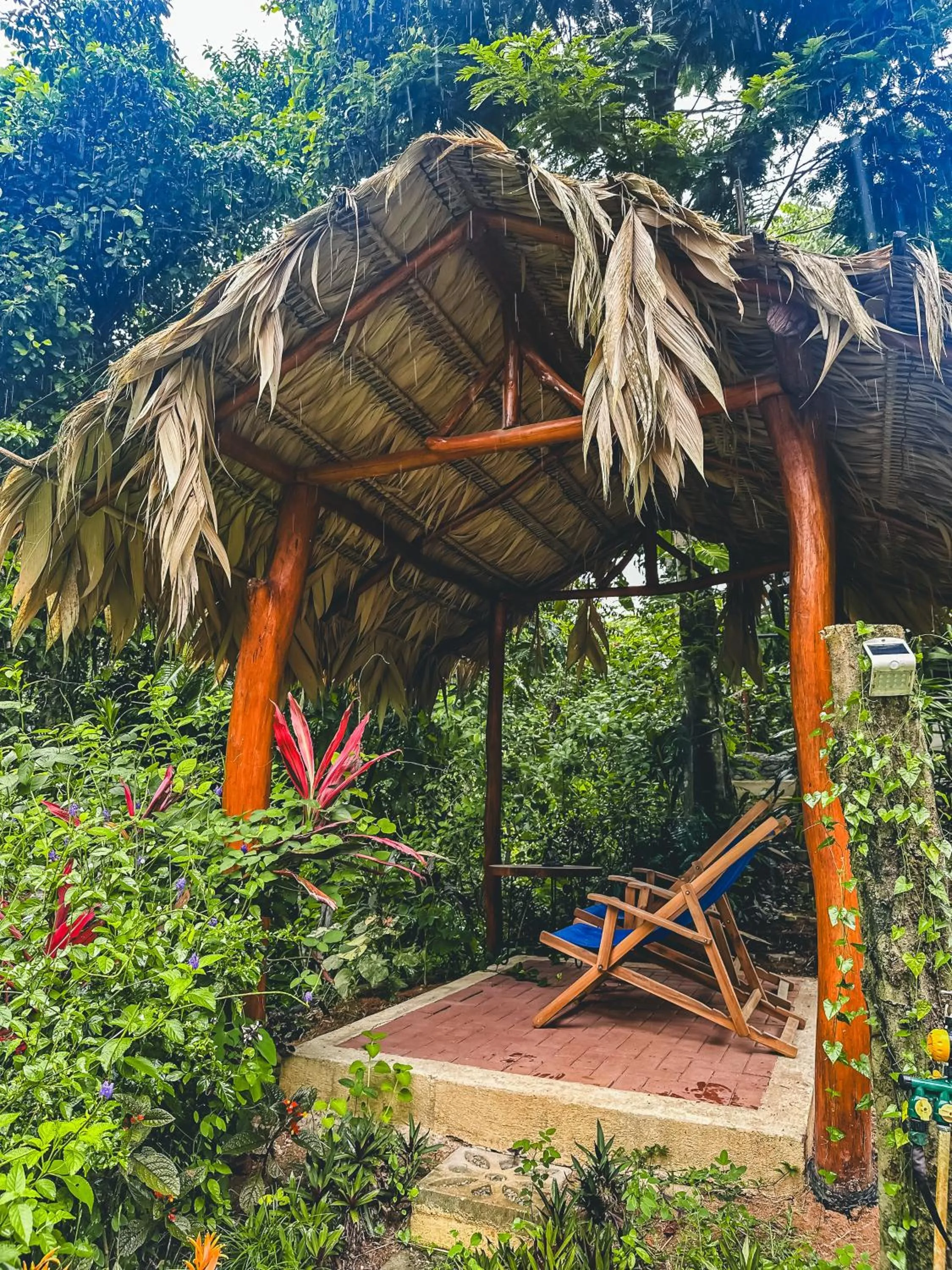 Patio in Selva Madre Eco-Sanctuary