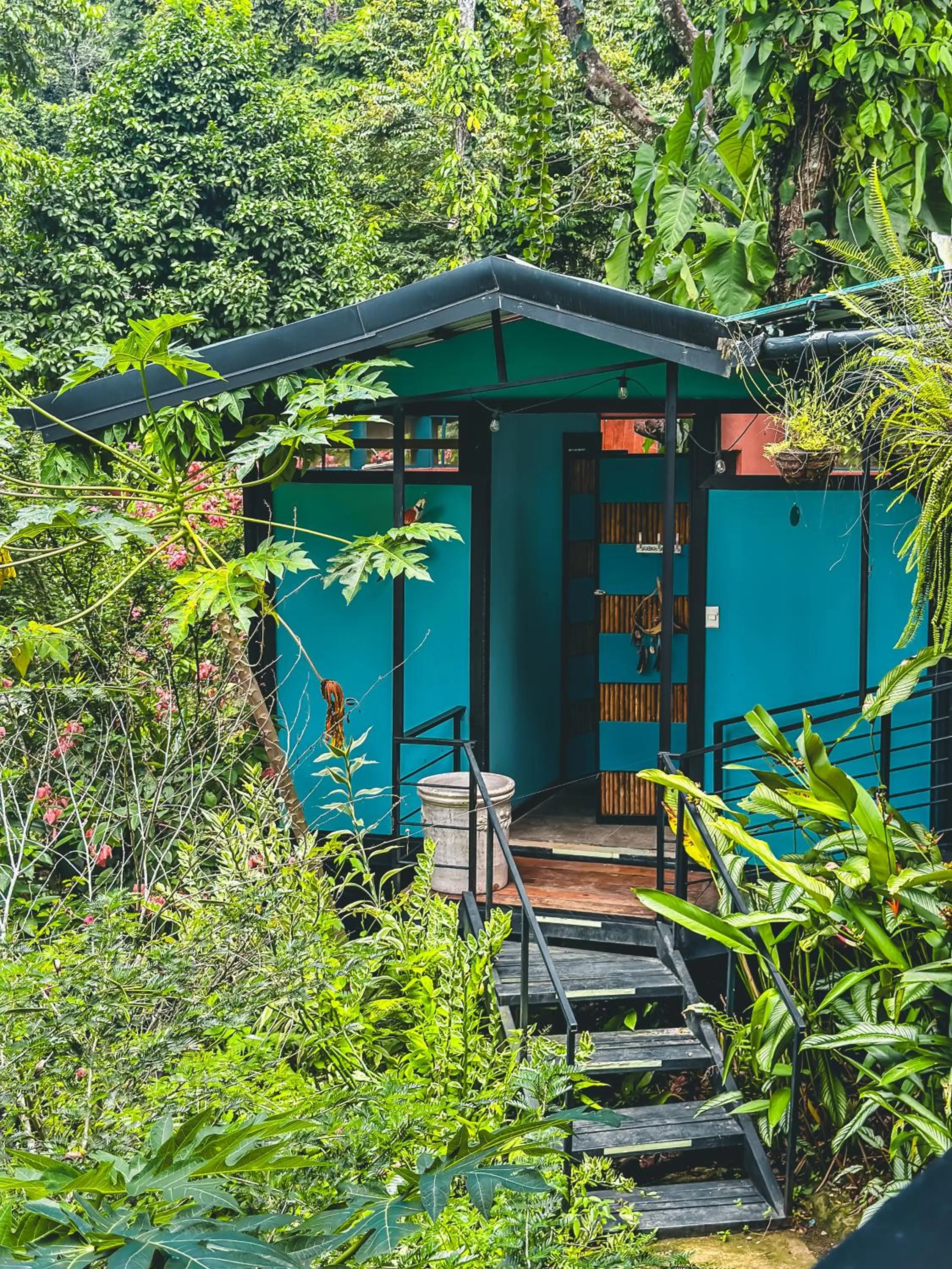 Toilet in Selva Madre Eco-Sanctuary