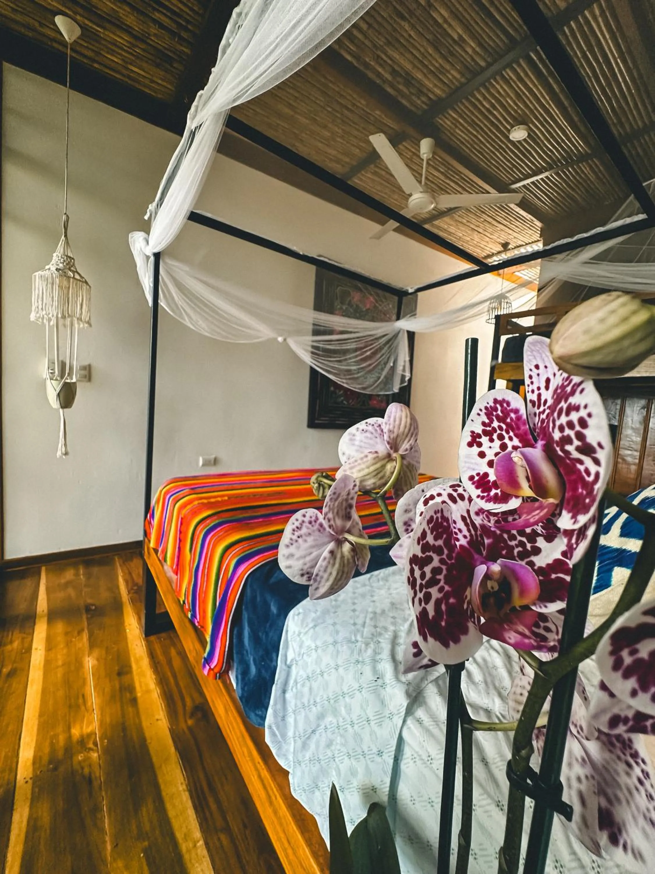 Photo of the whole room, Bed in Selva Madre Eco-Sanctuary