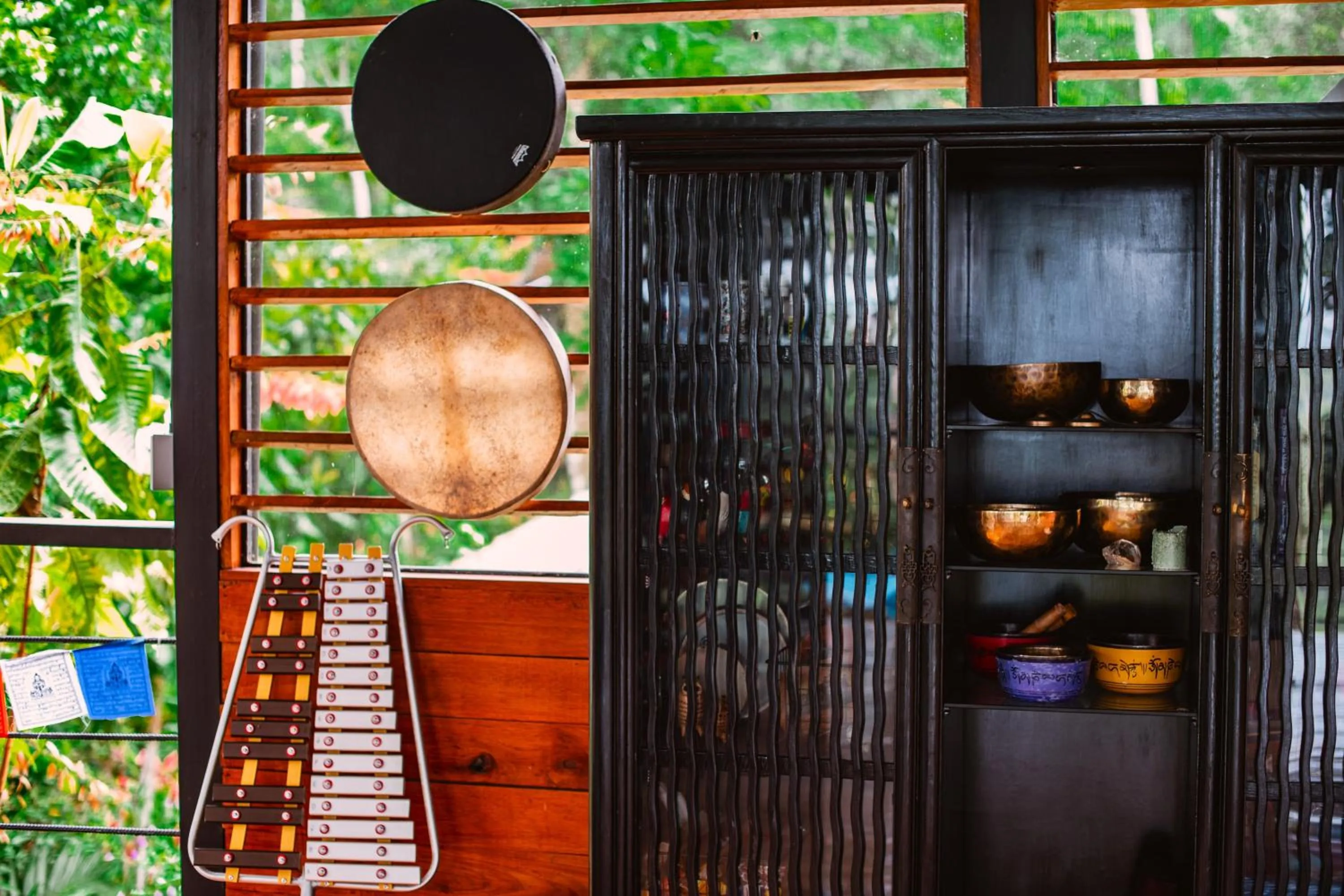 Property building in Selva Madre Eco-Sanctuary