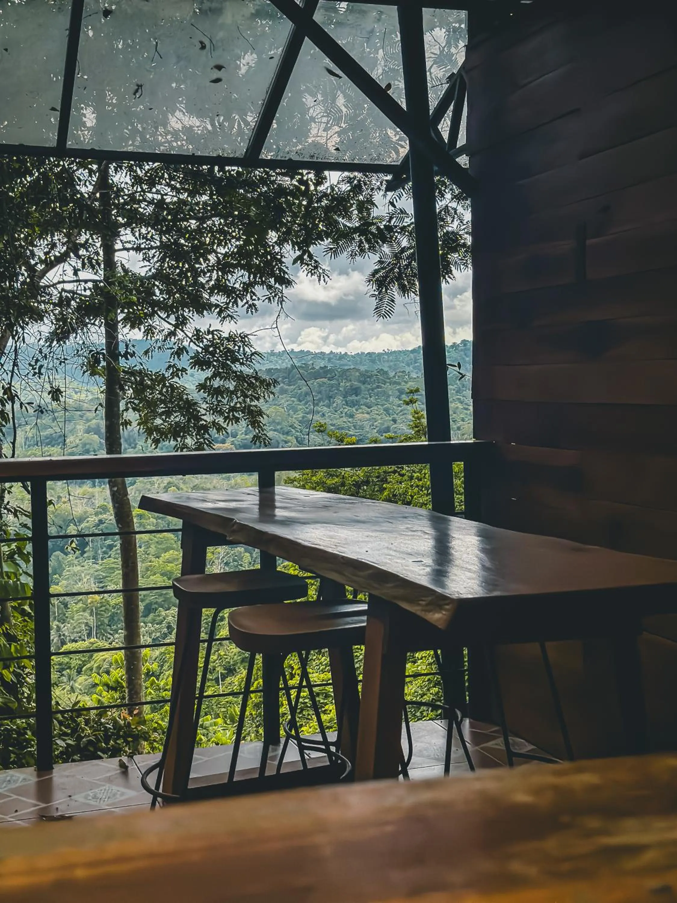 Property building in Selva Madre Eco-Sanctuary