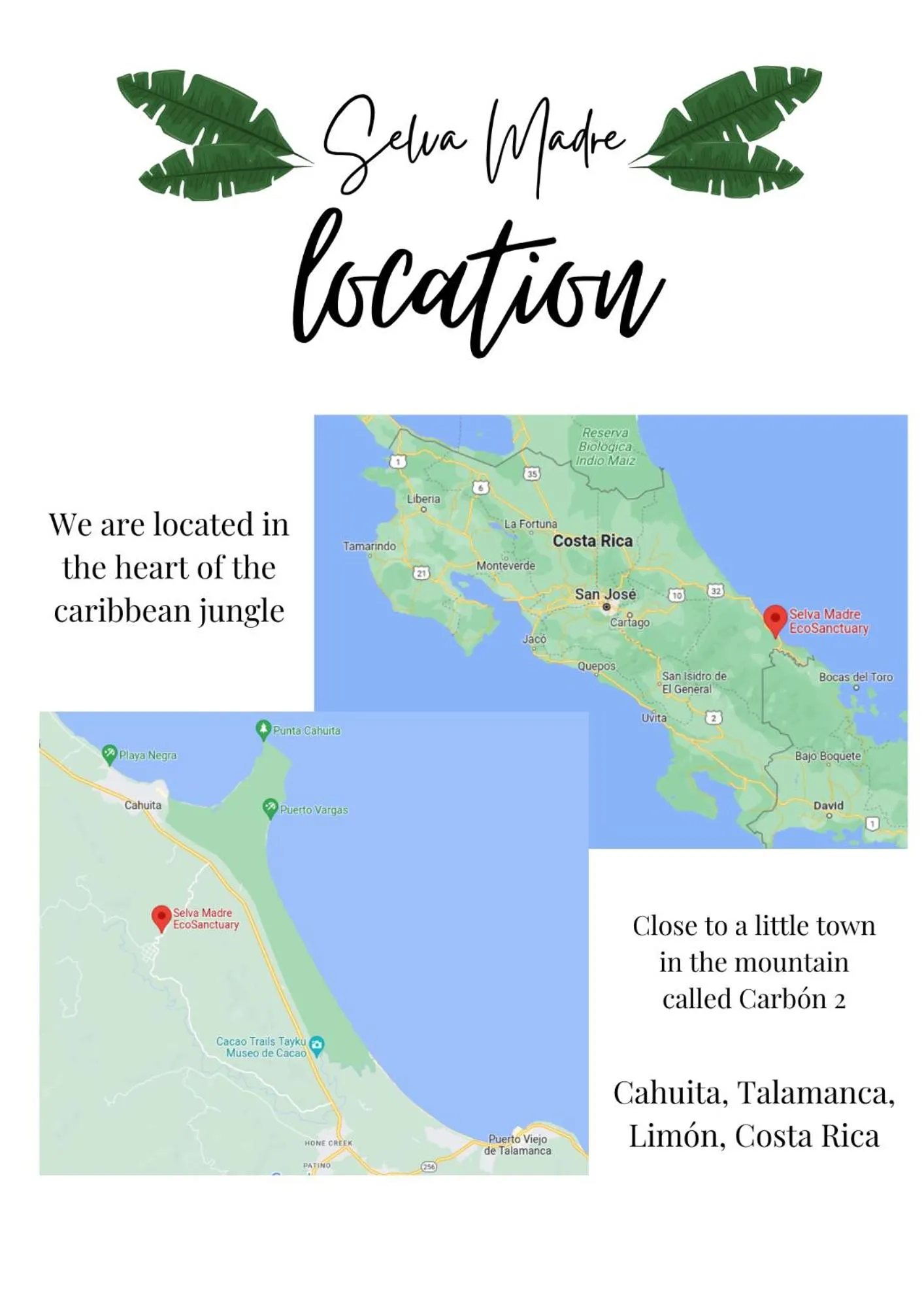 Location in Selva Madre Eco-Sanctuary