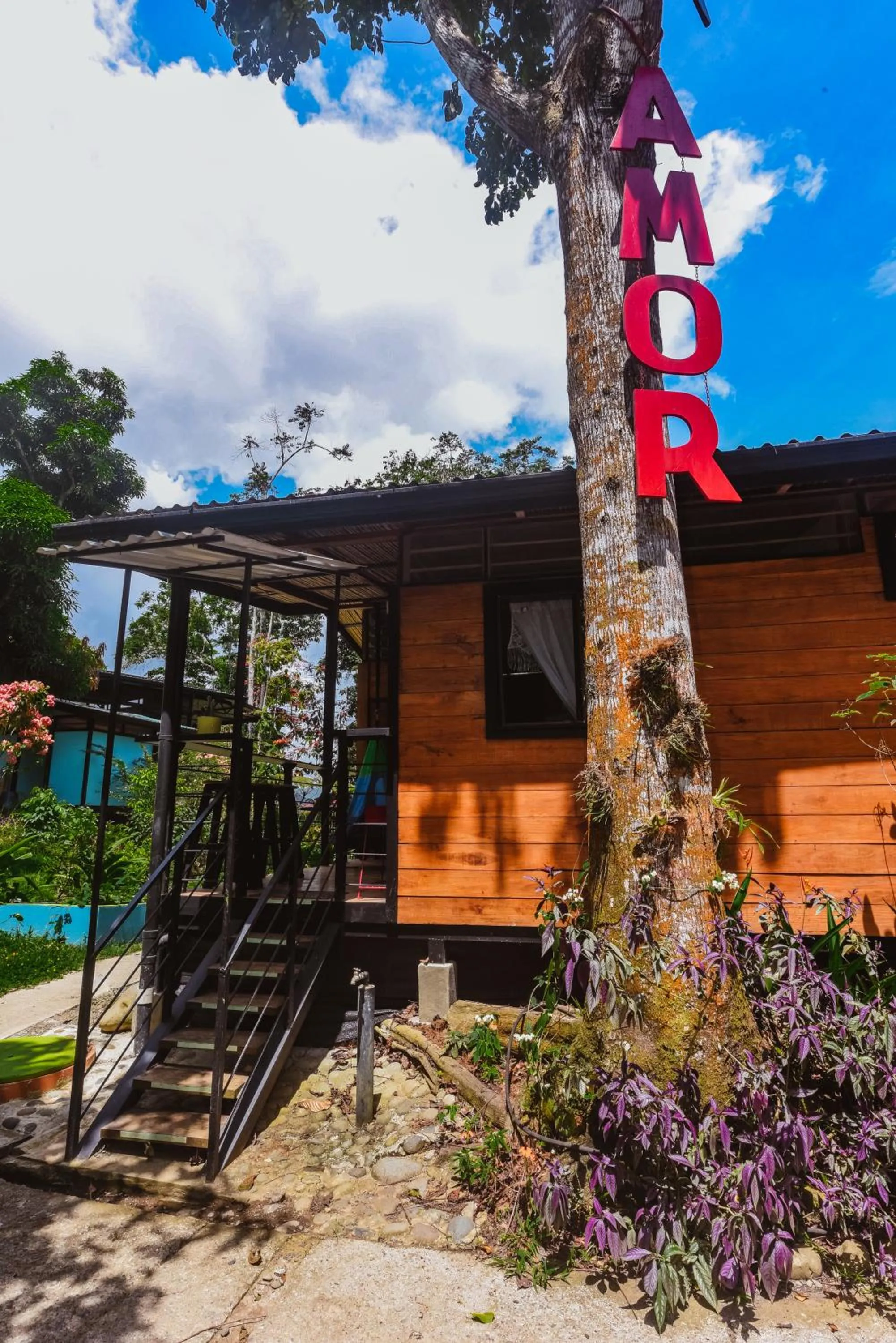Property building in Selva Madre Eco-Sanctuary