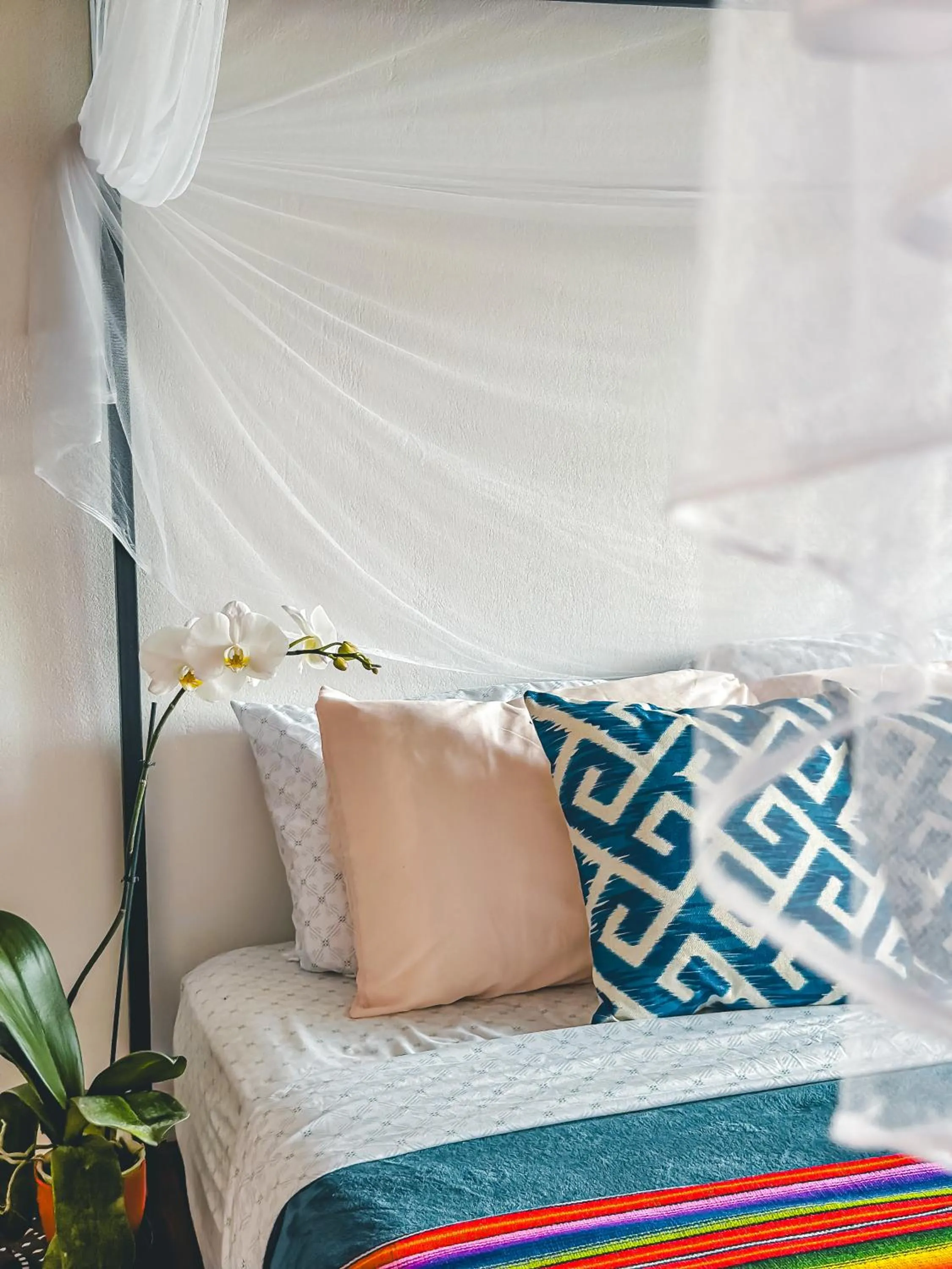 Bed in Selva Madre Eco-Sanctuary