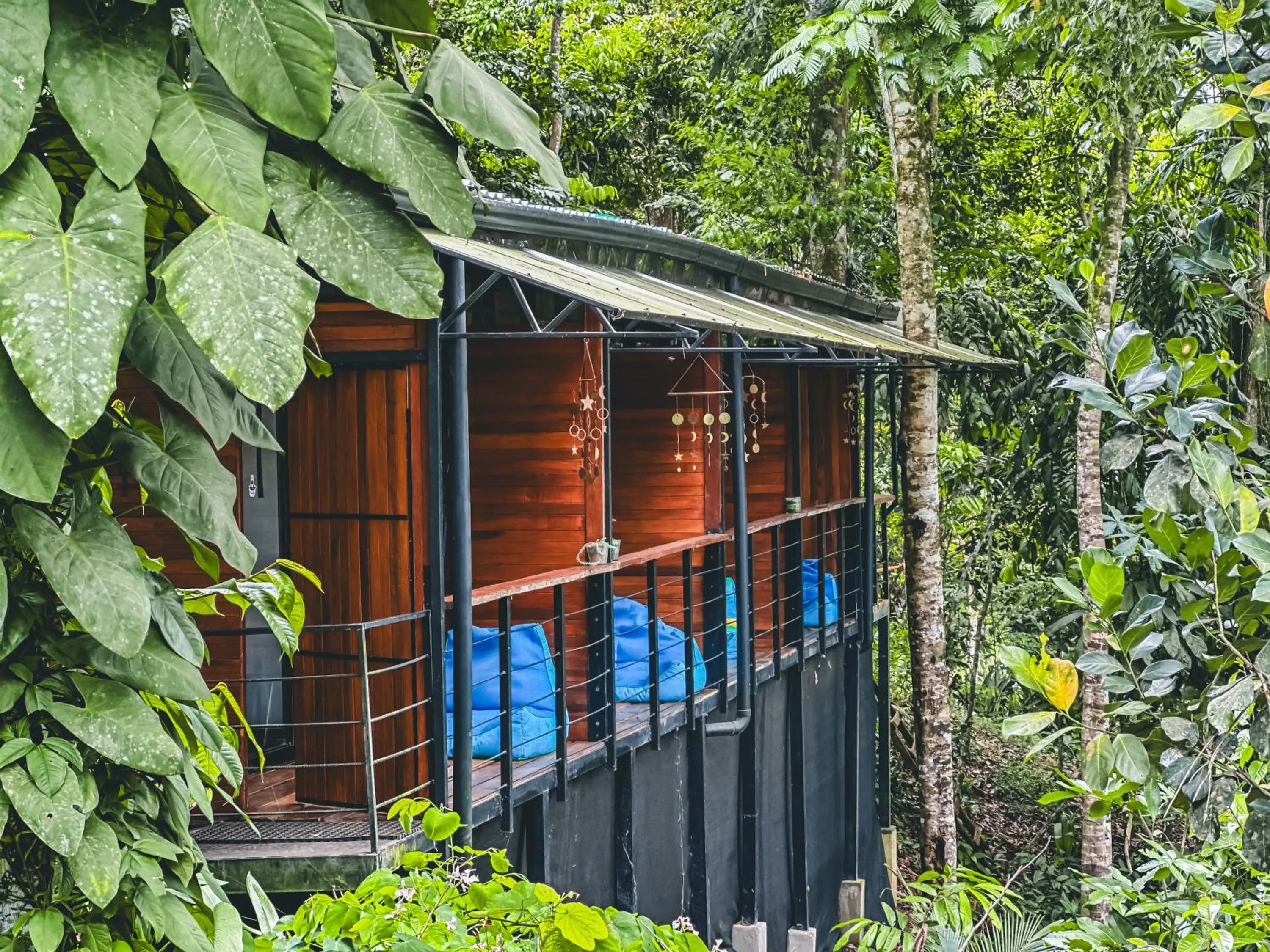 Property building in Selva Madre Eco-Sanctuary