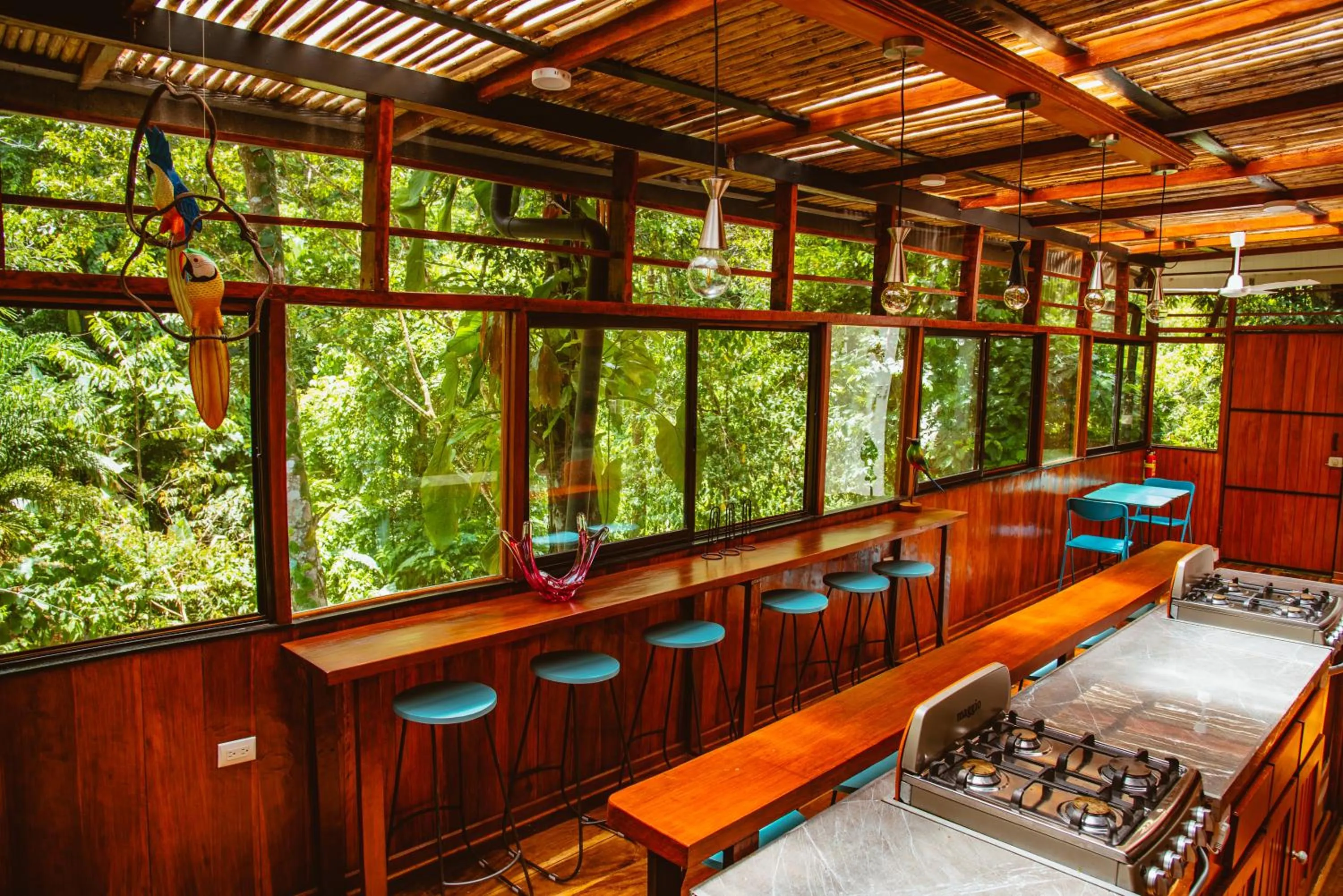 View (from property/room) in Selva Madre Eco-Sanctuary