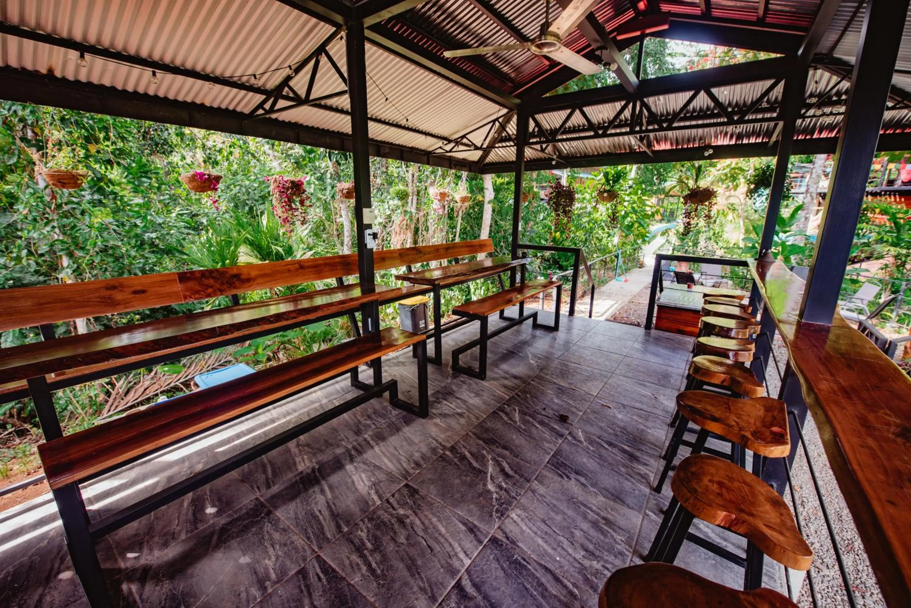 Restaurant/places to eat in Selva Madre Eco-Sanctuary