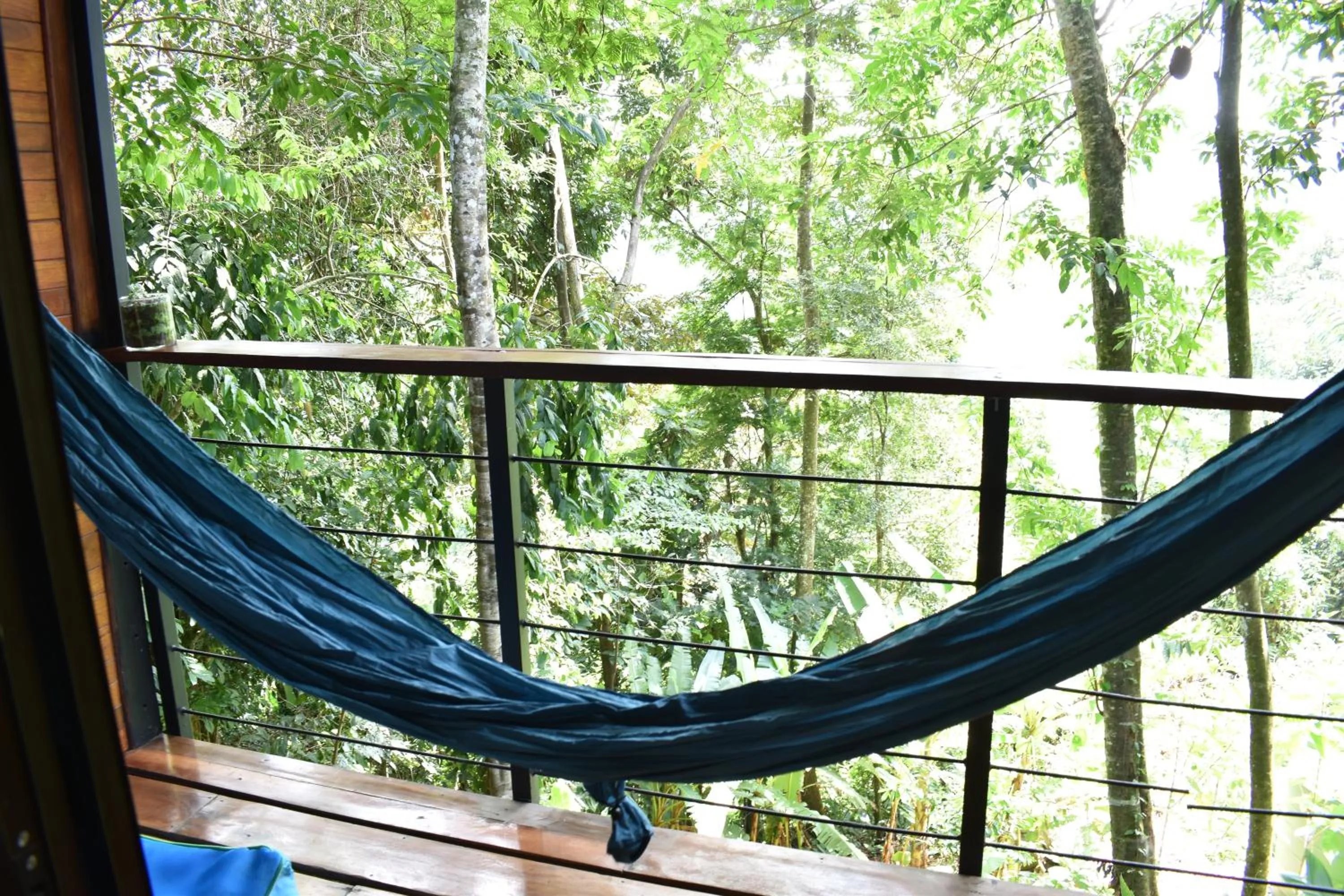 Balcony/Terrace in Selva Madre Eco-Sanctuary