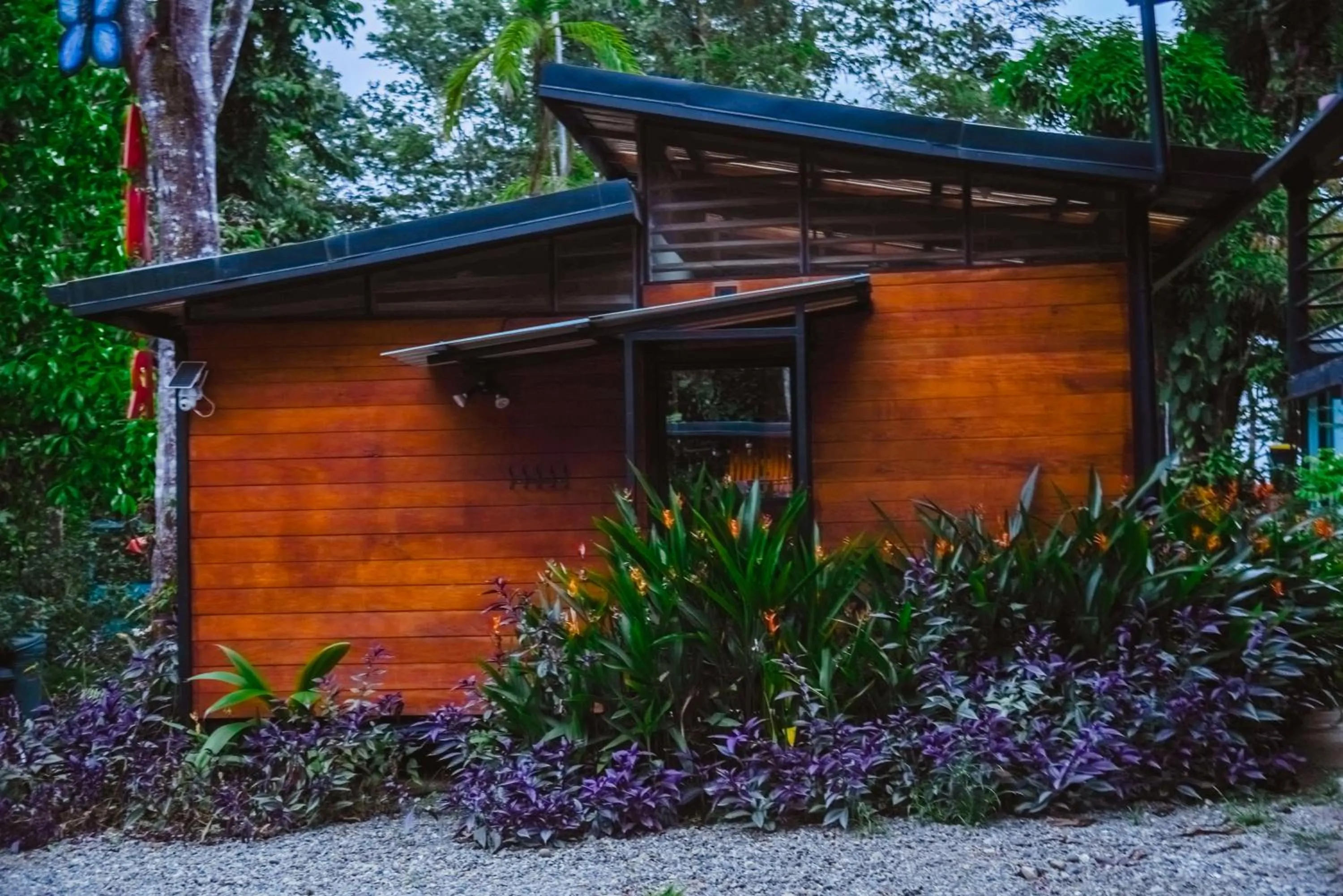 Property building in Selva Madre Eco-Sanctuary