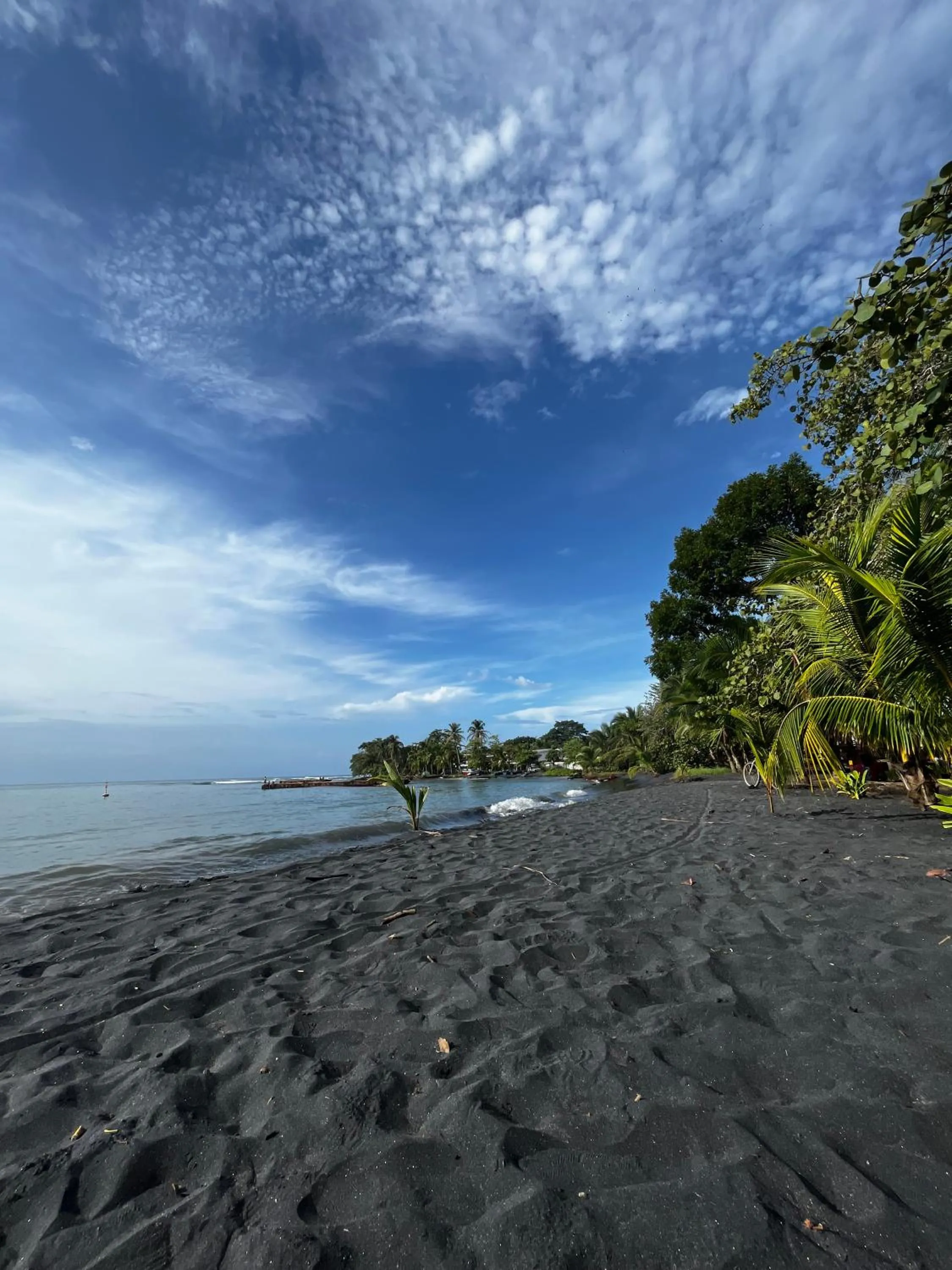 Beach in Selva Madre Eco-Sanctuary