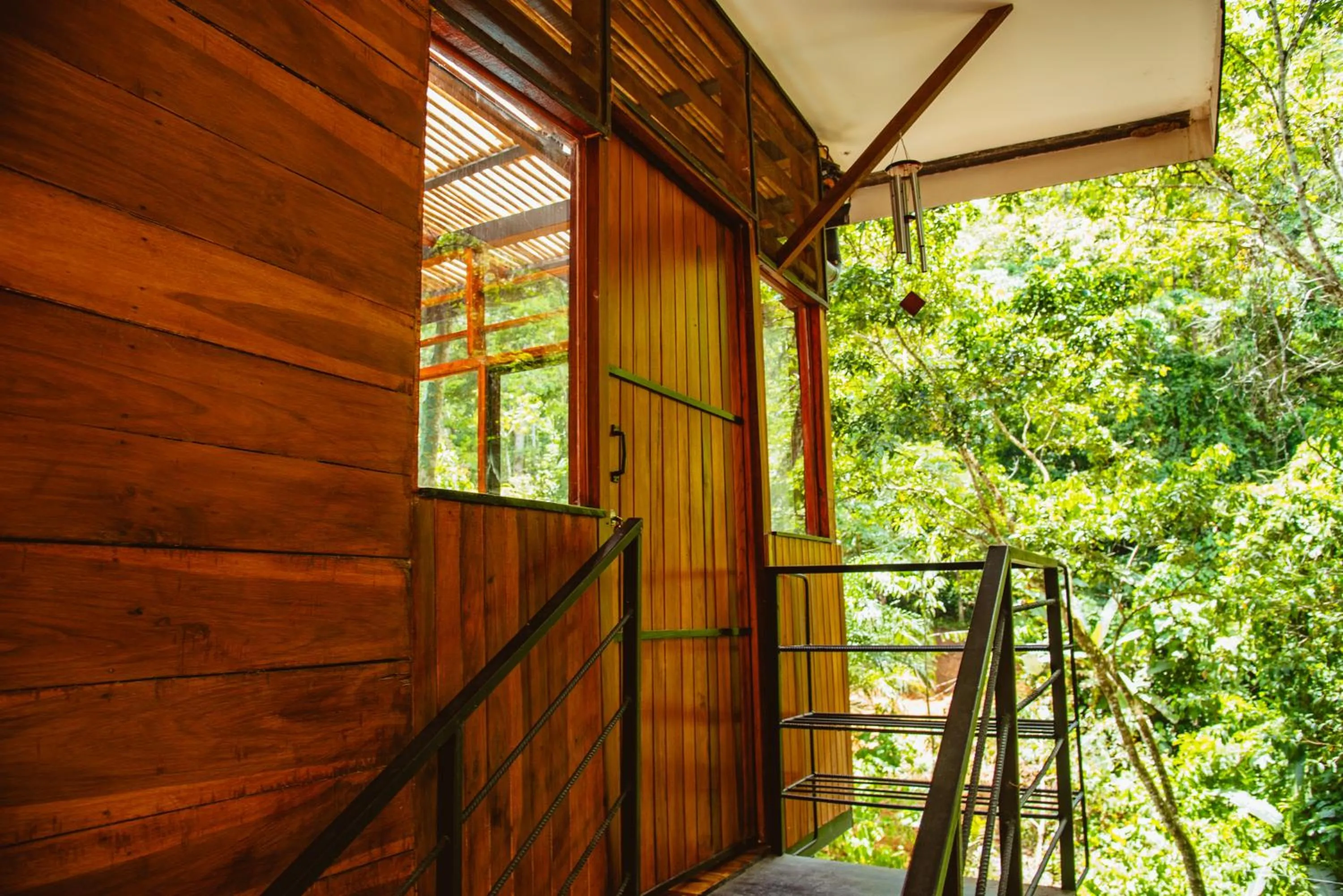 View (from property/room) in Selva Madre Eco-Sanctuary