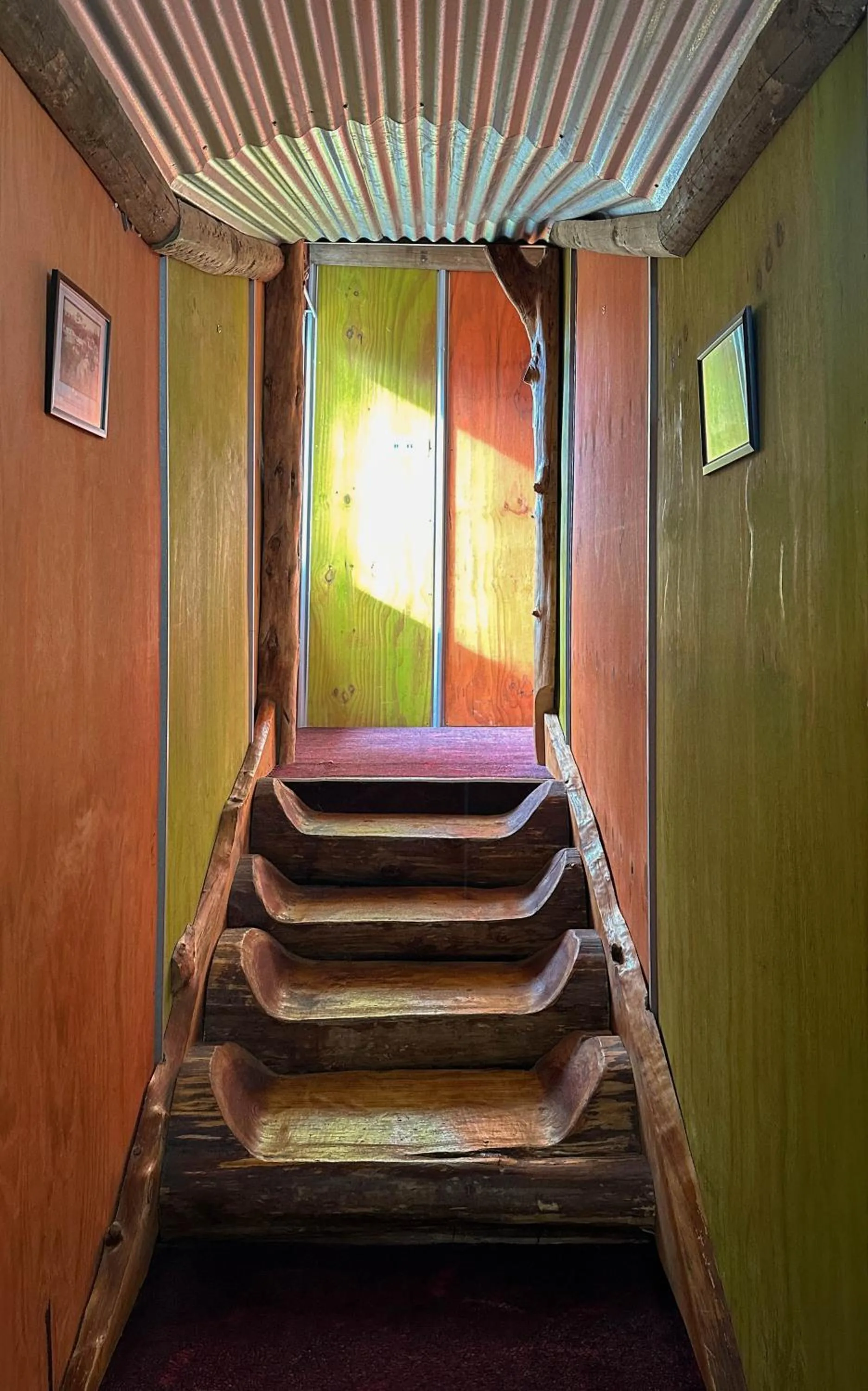 Garden view in The Crossing Lodge & Backpackers