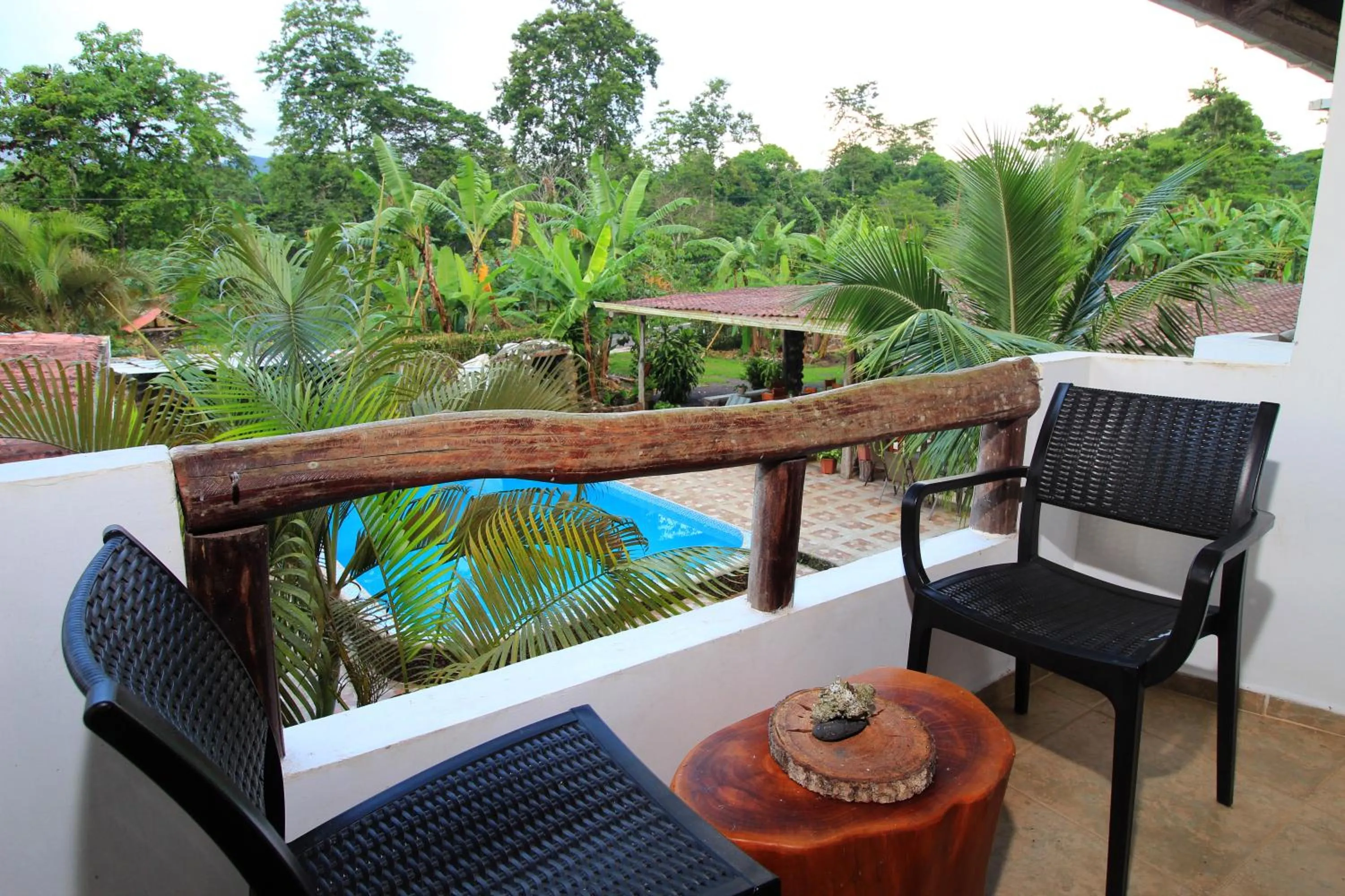 View (from property/room) in Natura Gardens Galápagos