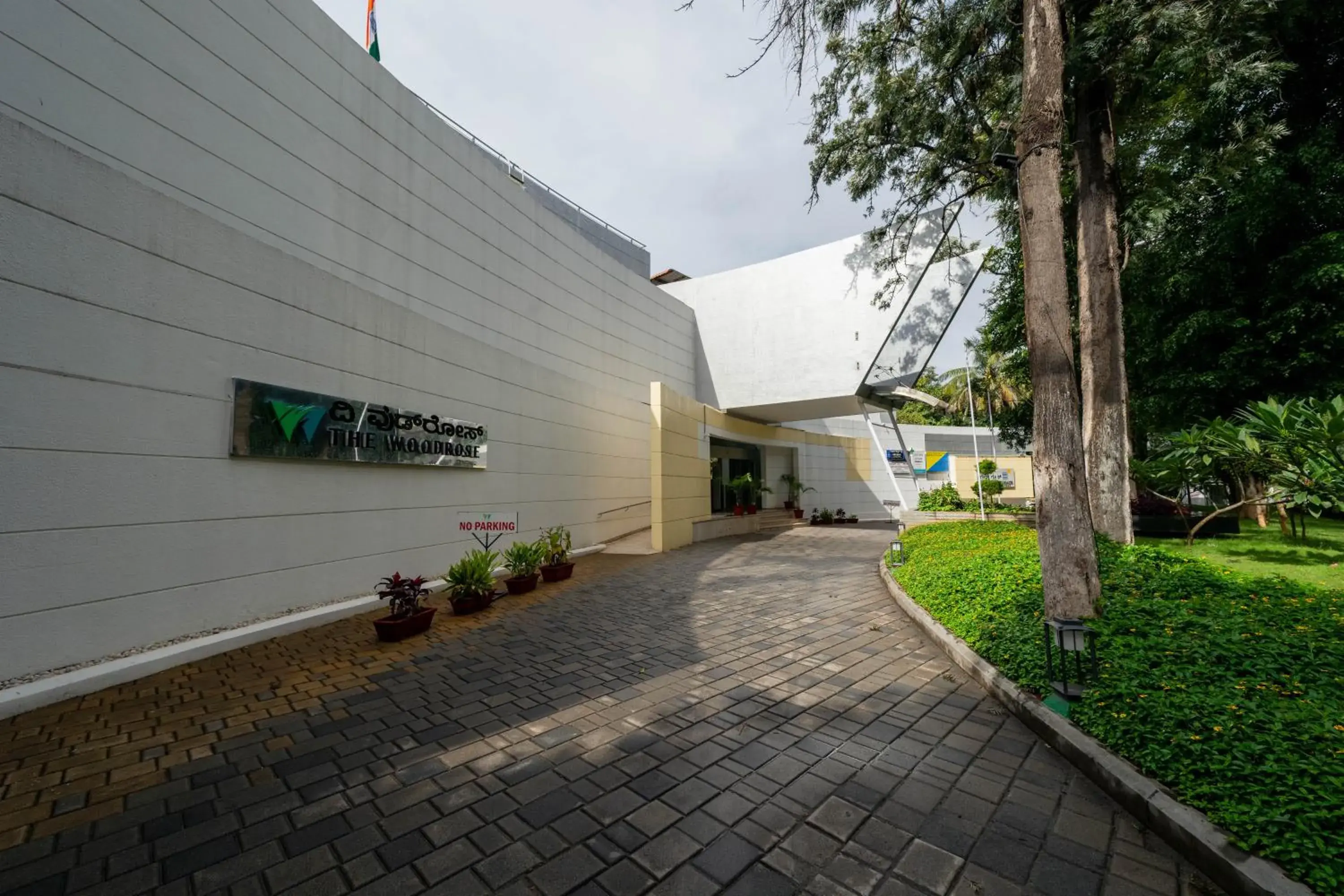 THE WOODROSE THE WOODROSE