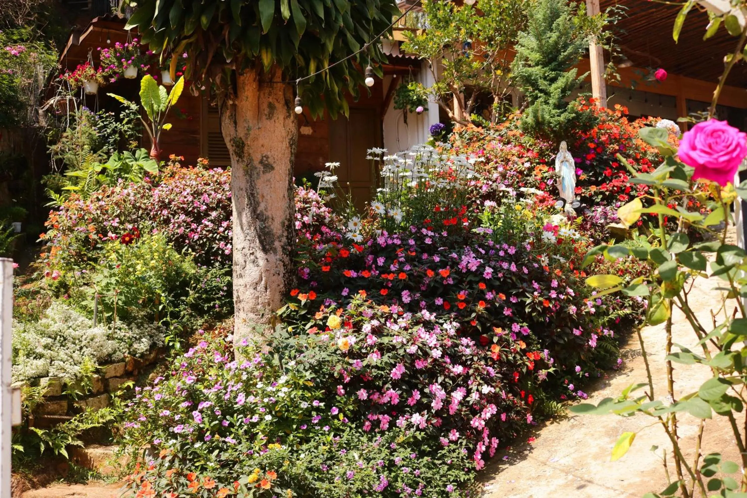 Garden in Soul PnB Homestay