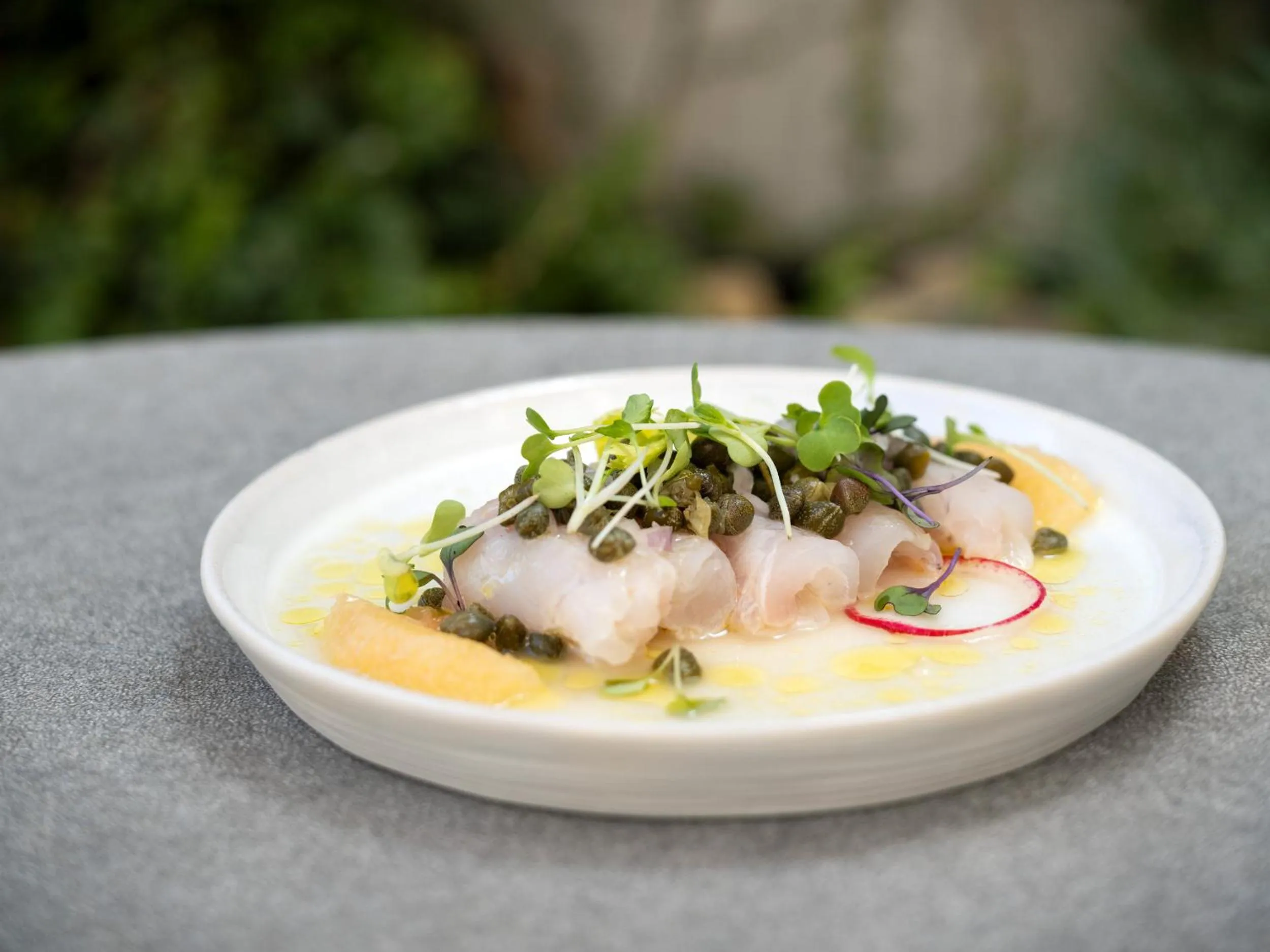 Restaurant/places to eat in AC Hotel San Rafael Downtown