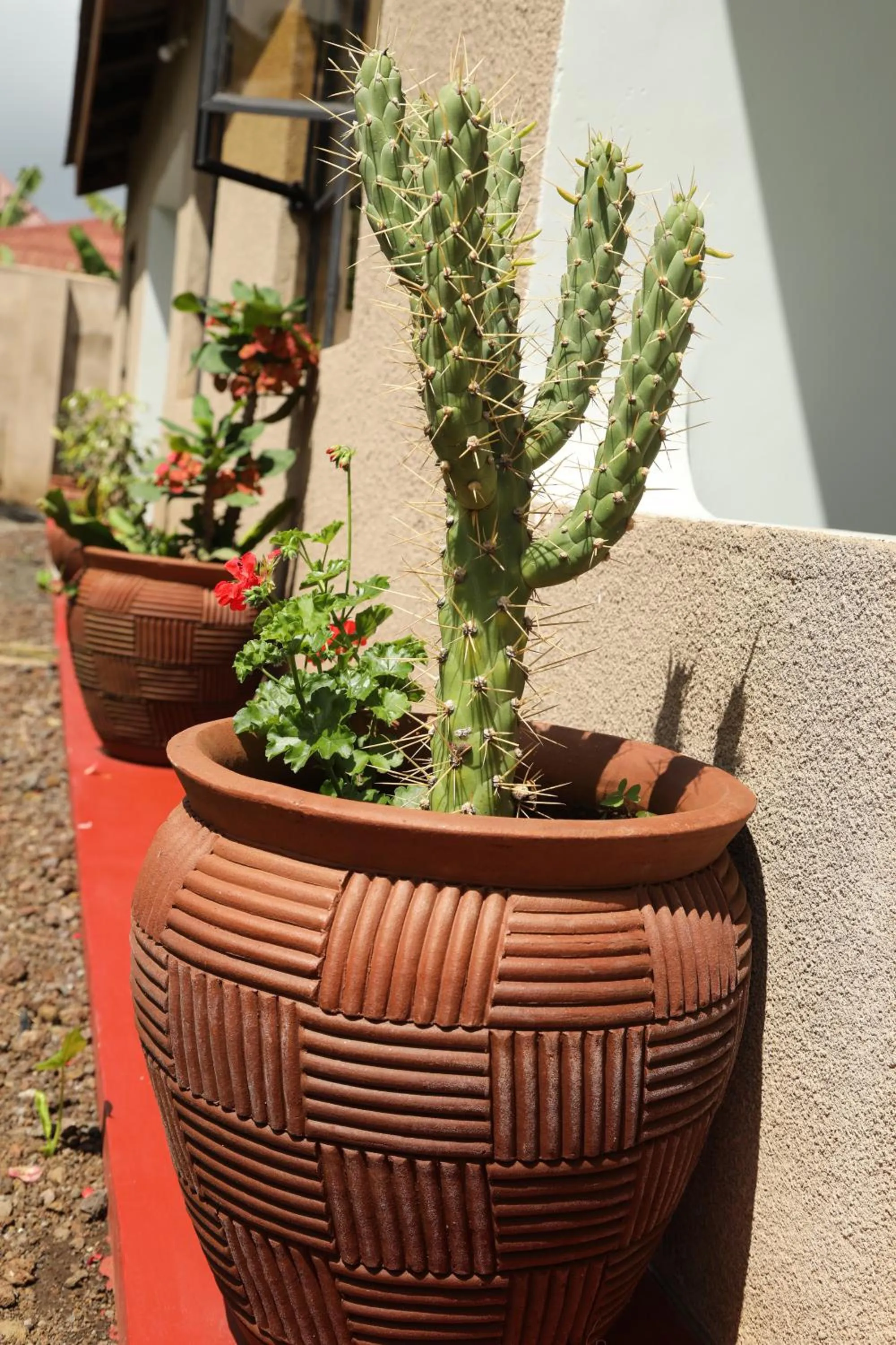 Garden in Wademac Arusha Inn Hotel
